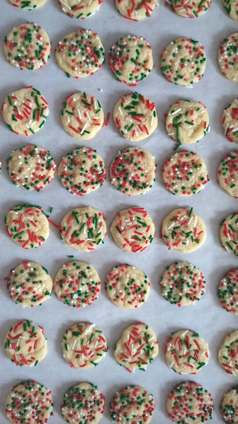 mini christmas sprinkle cookies.jpg