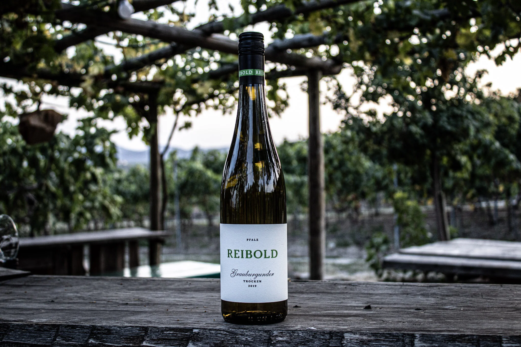 Grauburgunder Weingut Reibold Freinsheim Pfalz Musikantenbuckel