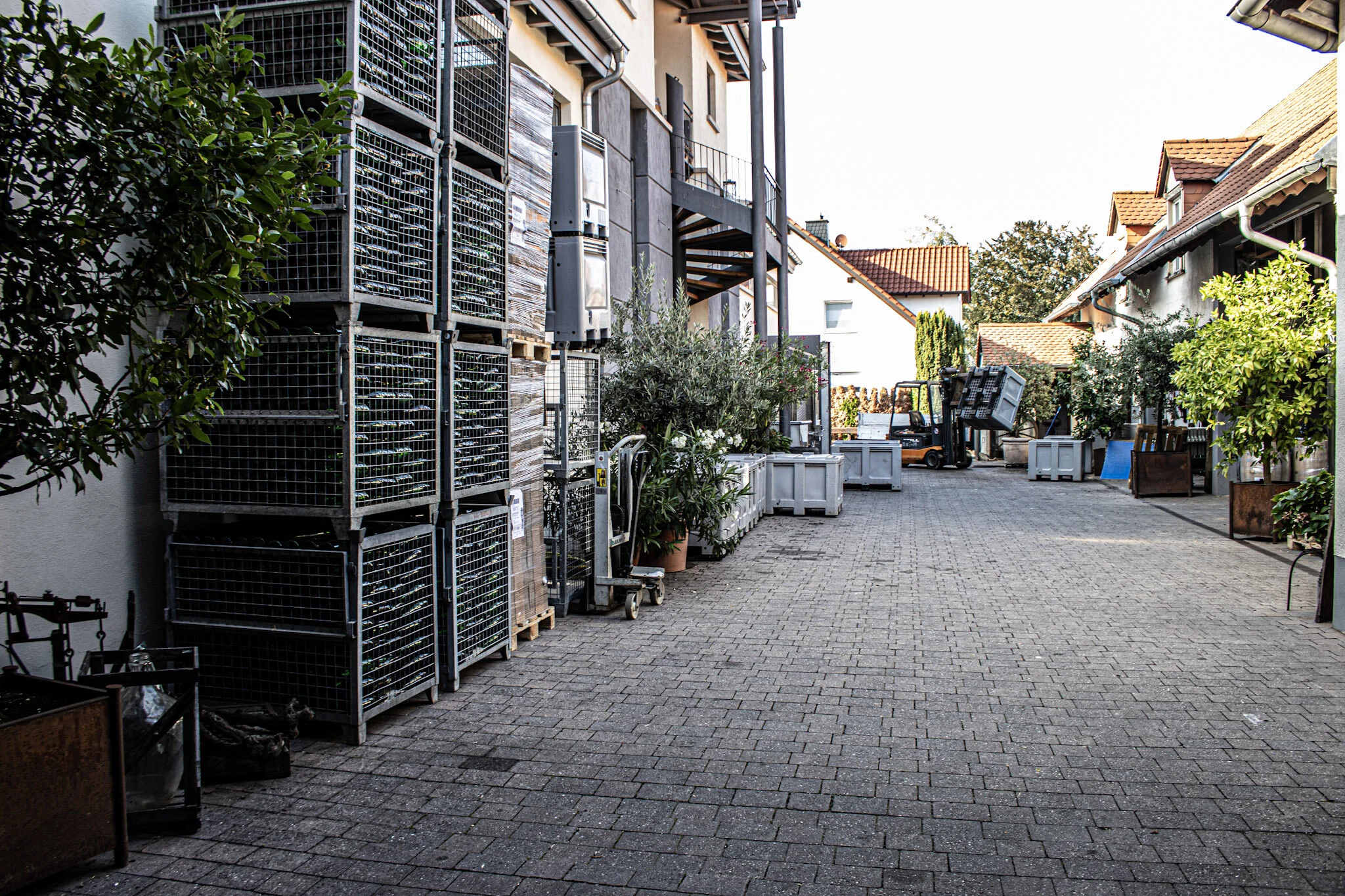 Weingut Reibold Pfalz Freinsheim Hofverkauf Bio Weine