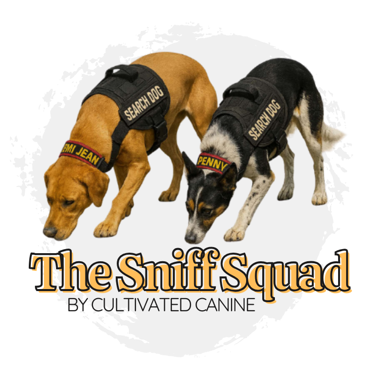 DFW Dog Parents Community, Dallas, Fort Worth, Pups, Membership, Perks, Discounts, Exclusive