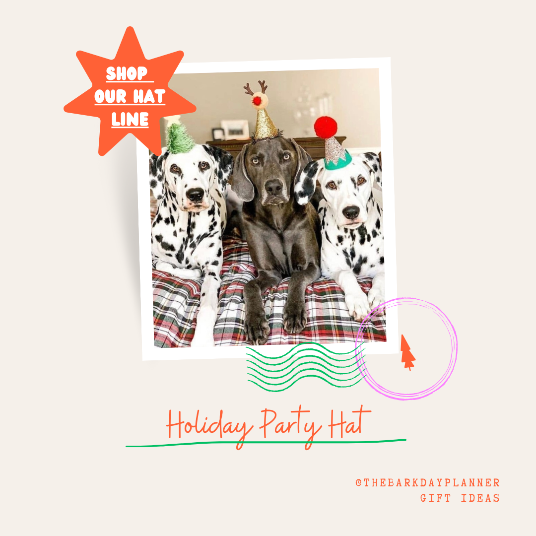 The Barkday Planner Holiday Pet Hats
