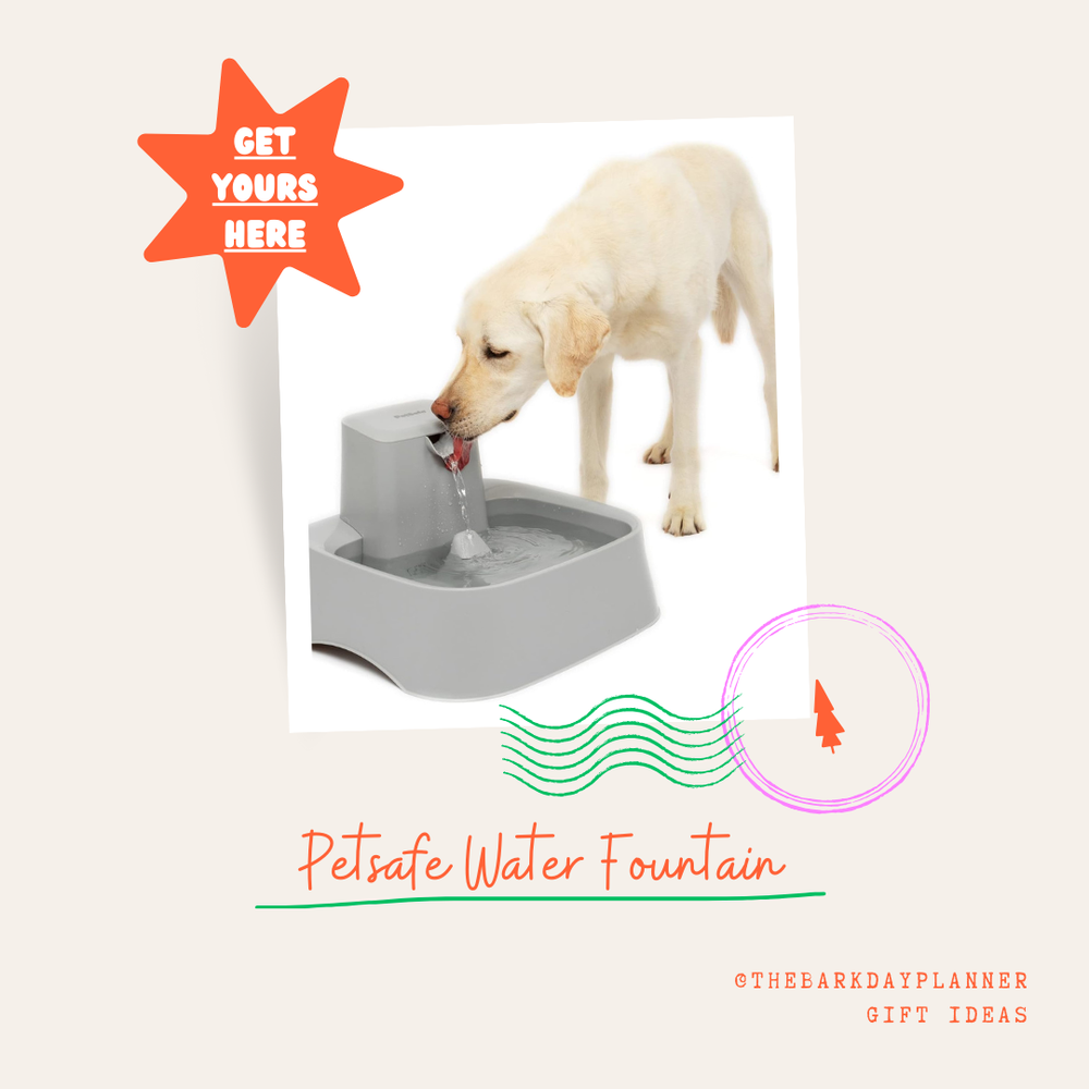 PetSafe Water Fountain for Pets