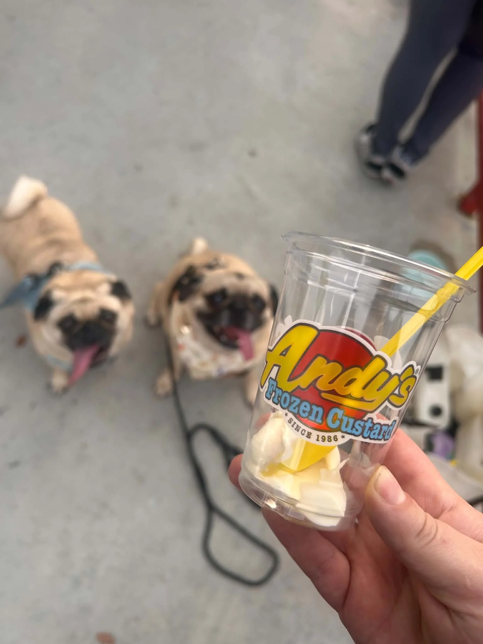 DFW Dog Parents Community, Dallas, Fort Worth, Pups, Membership, Perks, Discounts, Exclusive
