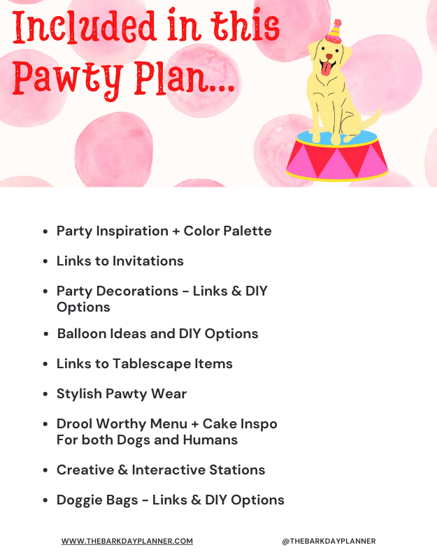 CARNIVAL PARTY PLAN.png