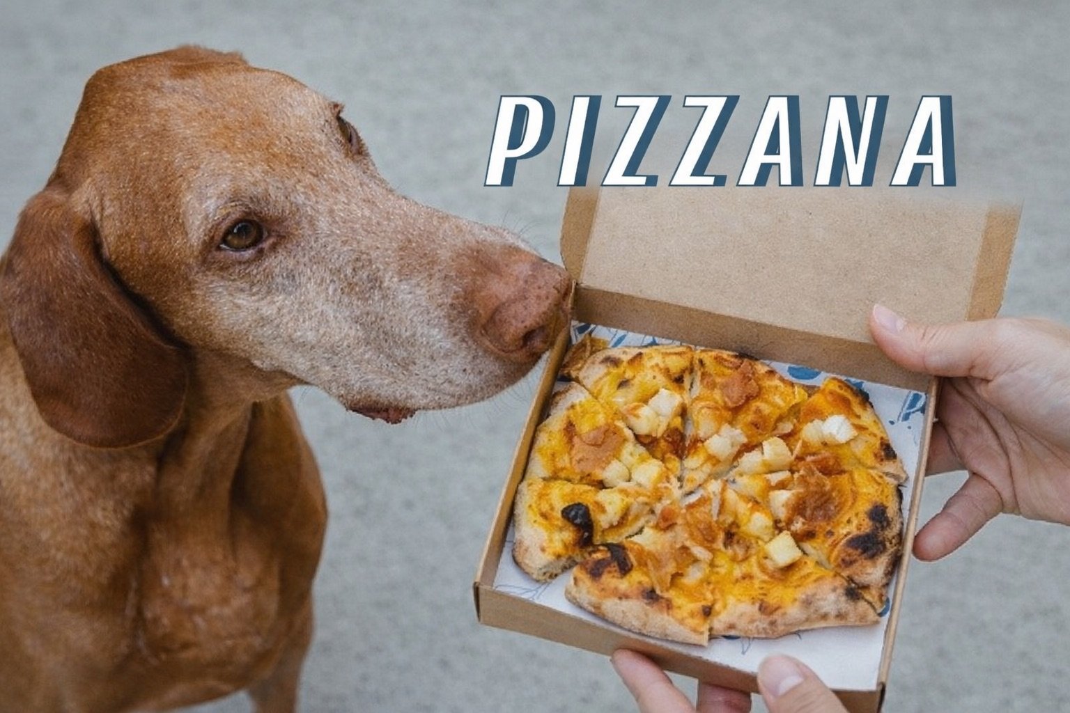 Pizza Party with Pups