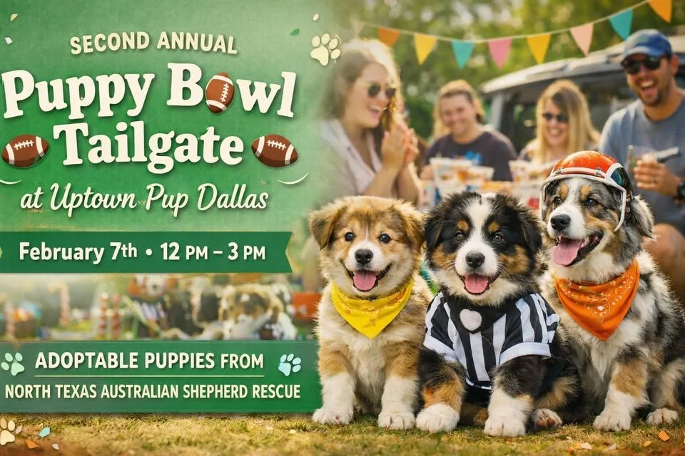 Puppy Bowl Tailgate 