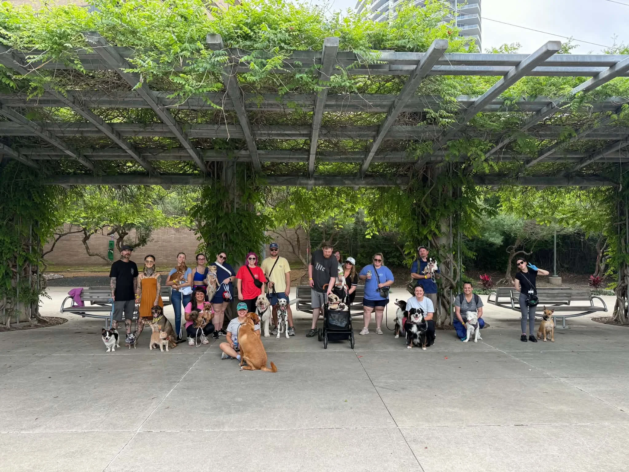 DFW Dog Parents Community, Dallas, Fort Worth, Pups, Membership, Perks, Discounts, Exclusive