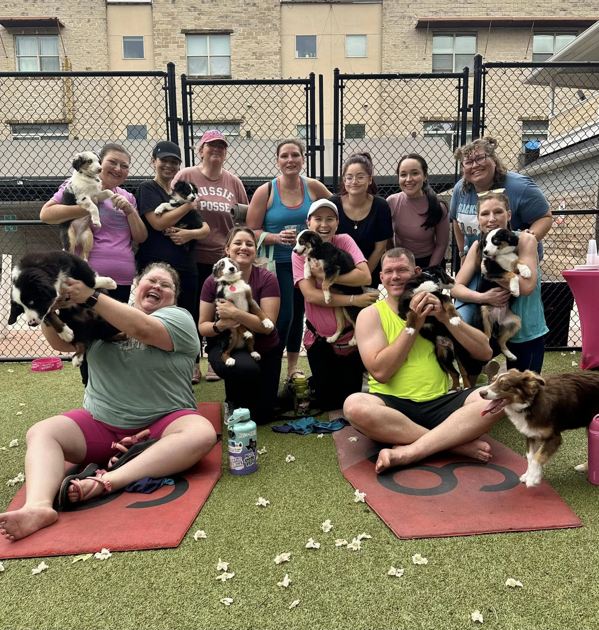 The Barkday Planner, DFW, Community events, Dog Parents, Fun Dog Events, Puppy Yoga