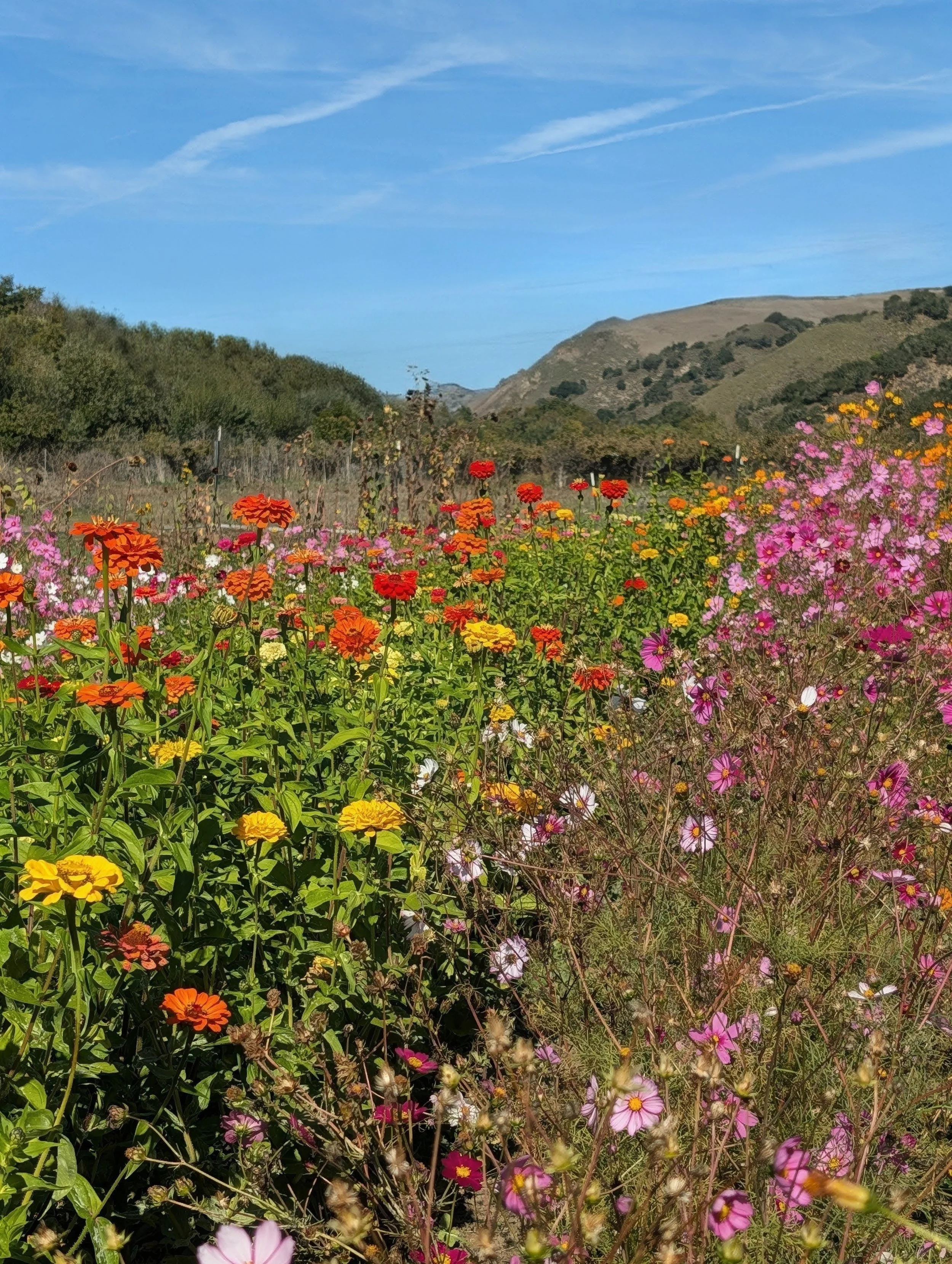 Spring: Moving Out of the Quiet Season