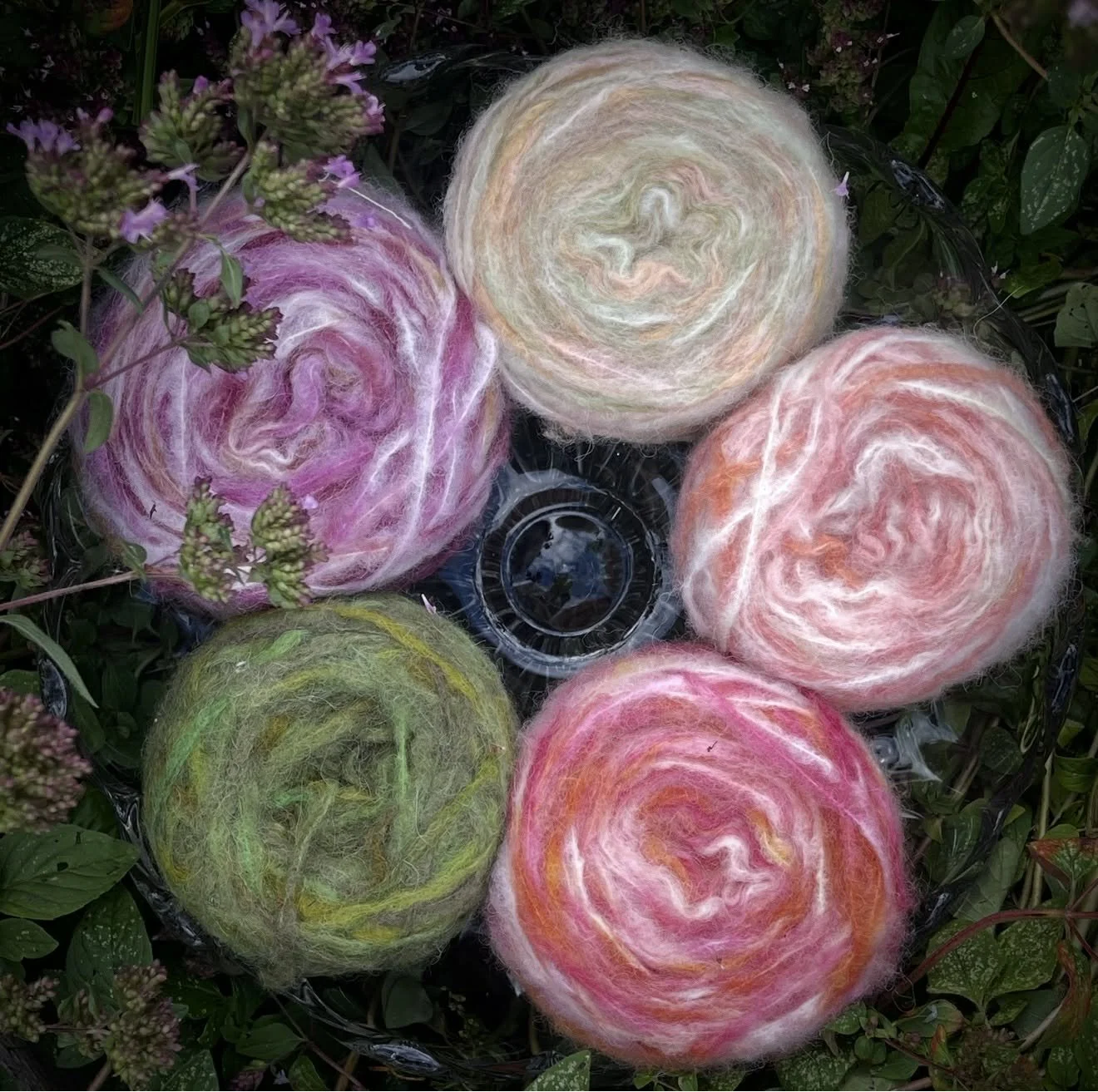 att.oIPILeXGfjROxhBh0IvVzRMF-_SIn-80QtduZnAeHBo 2.JPG