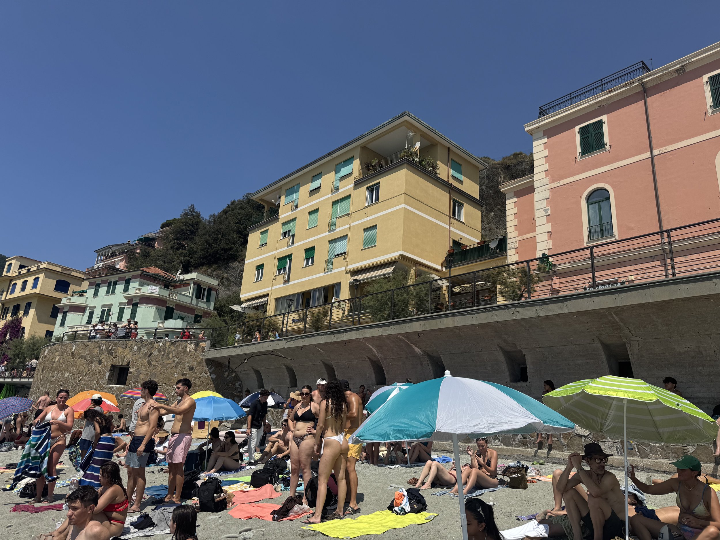 IMG_7195.jpeg