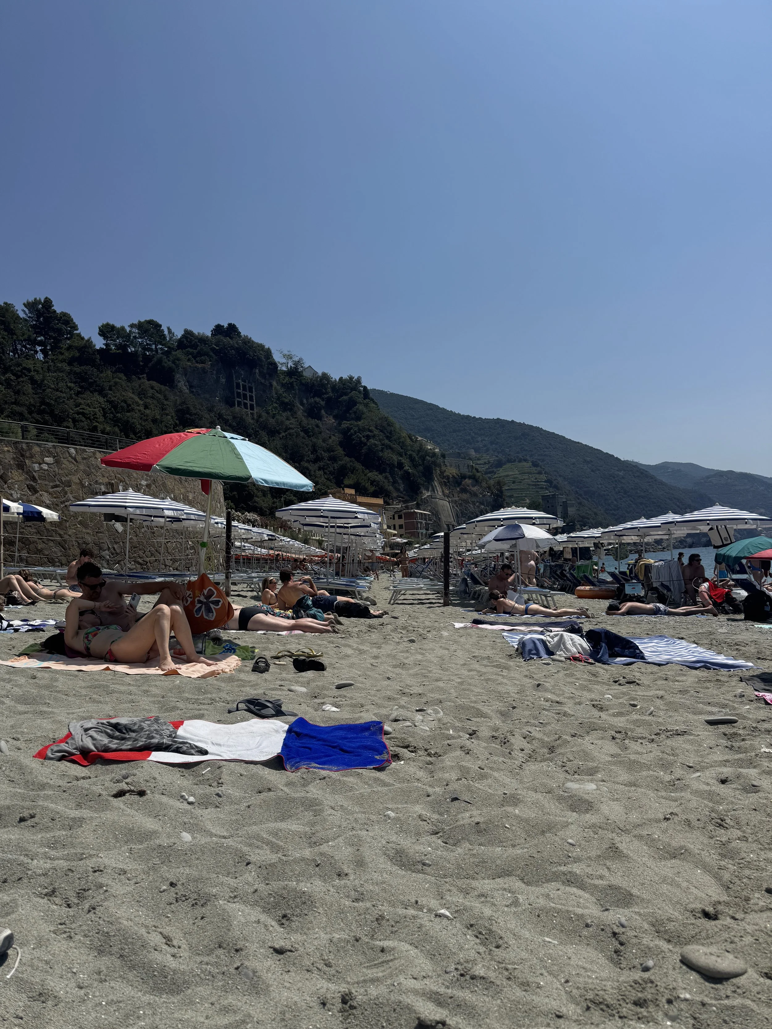 IMG_7202.jpeg