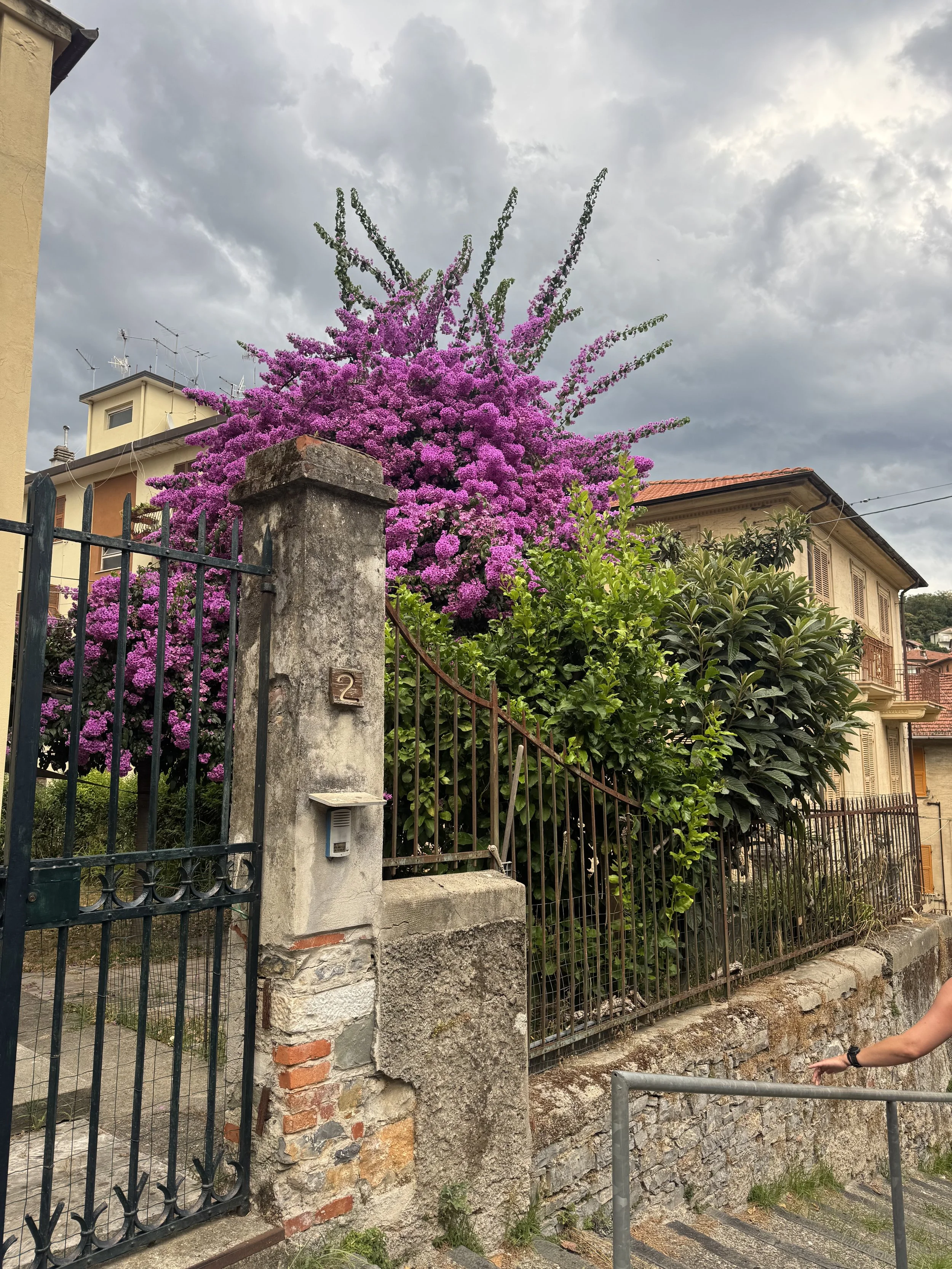 IMG_7244.jpeg