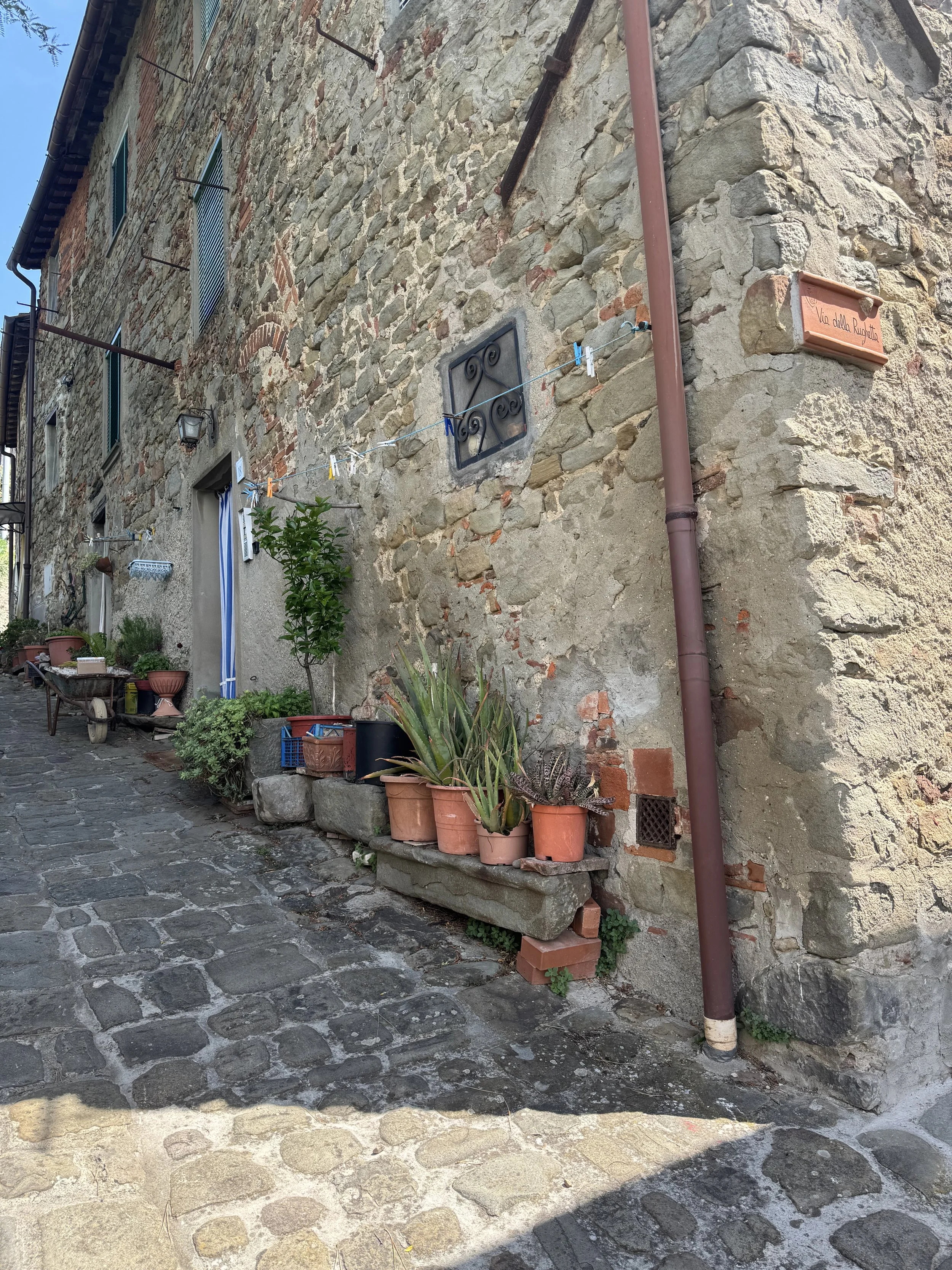 IMG_7547.jpeg
