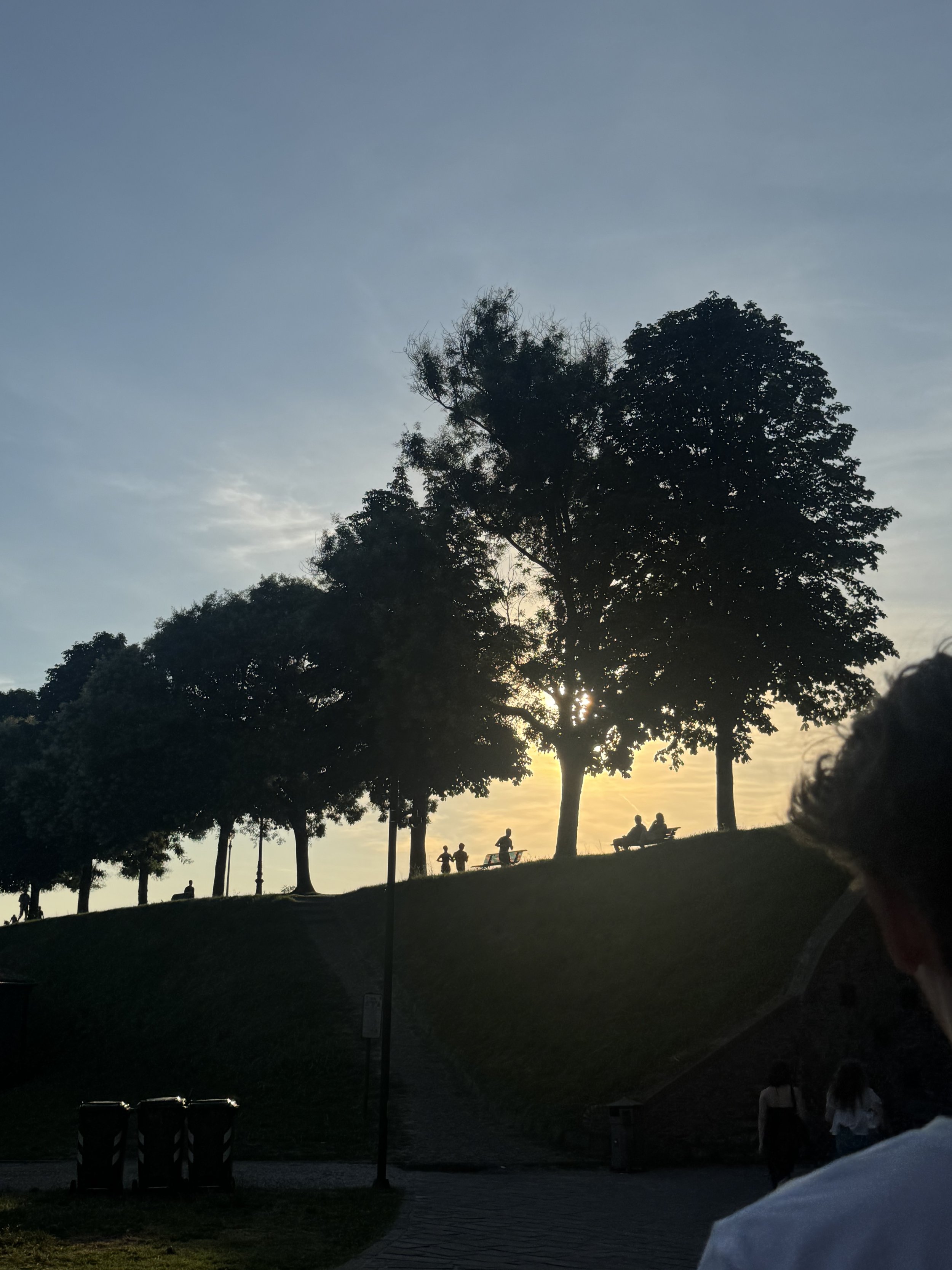 IMG_7686.jpeg