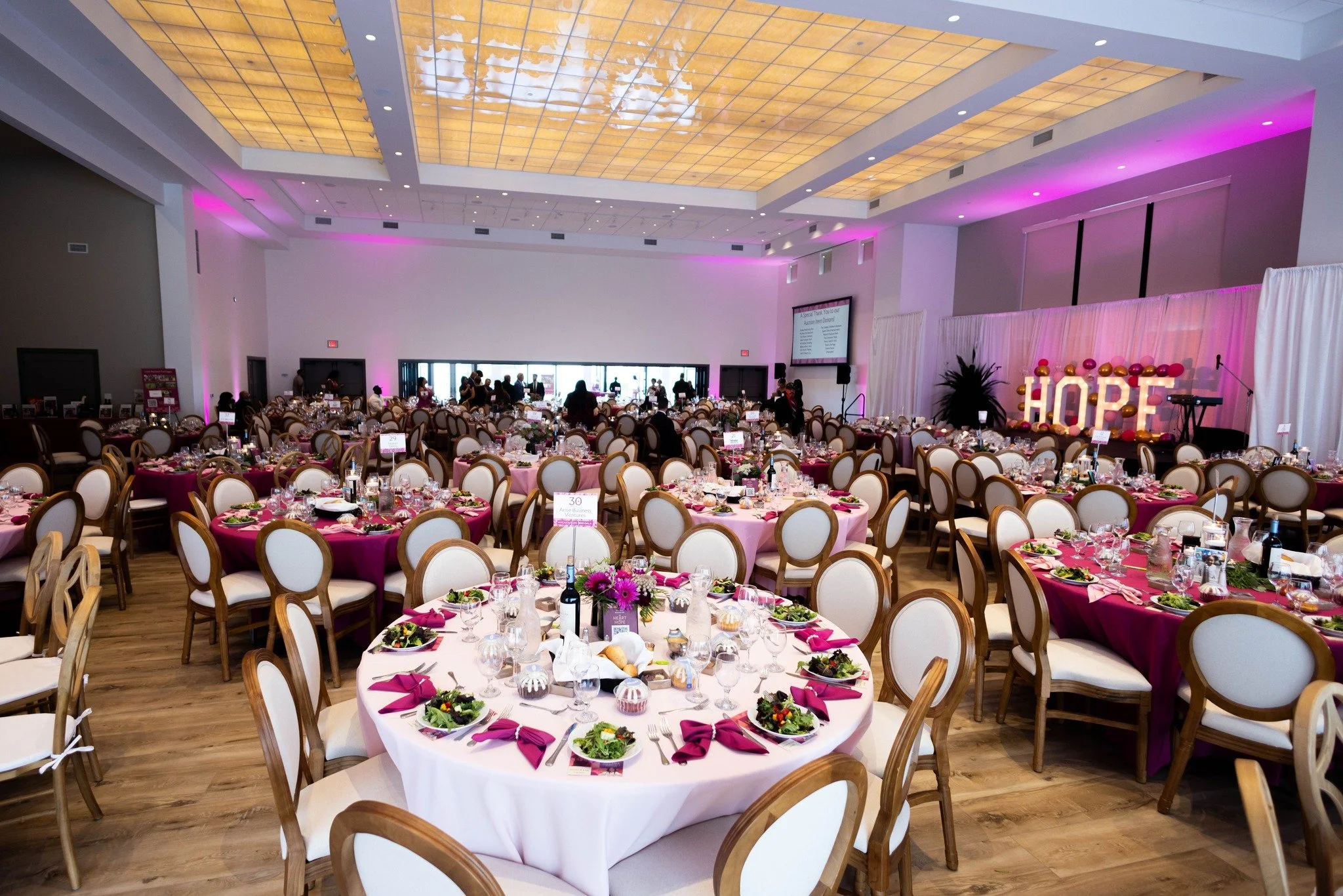 Hope Center for Kids Gala 01.jpg