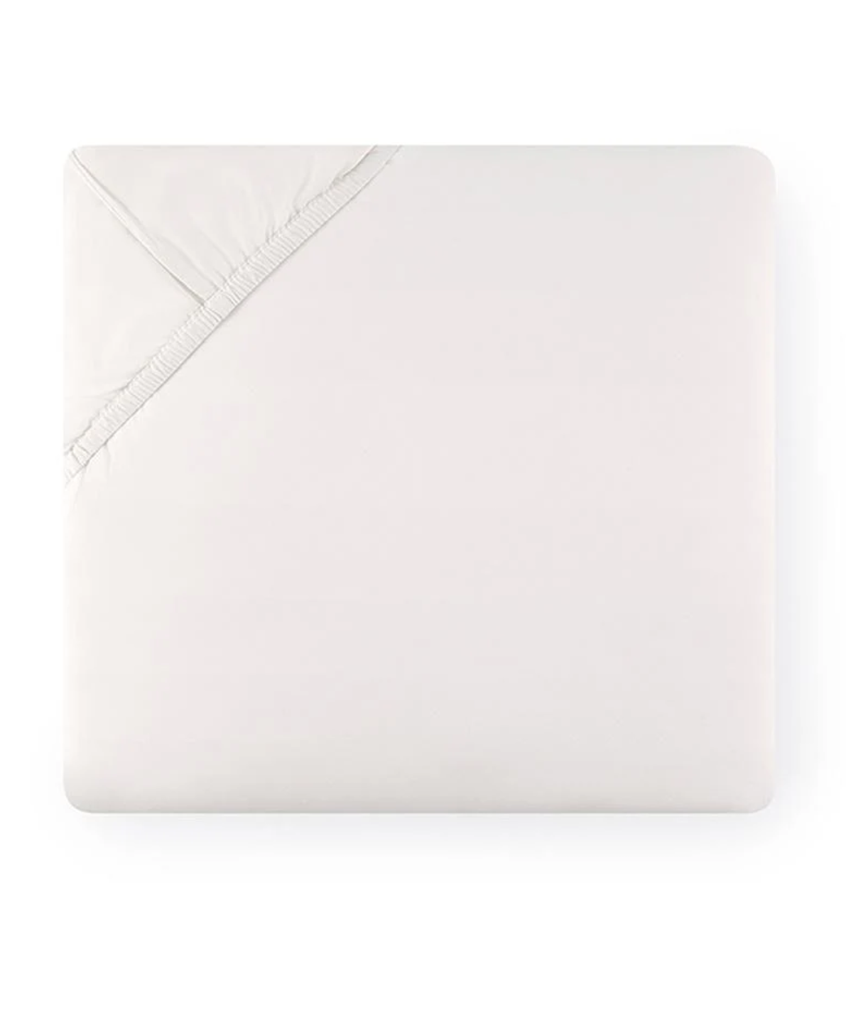 Ivory.png