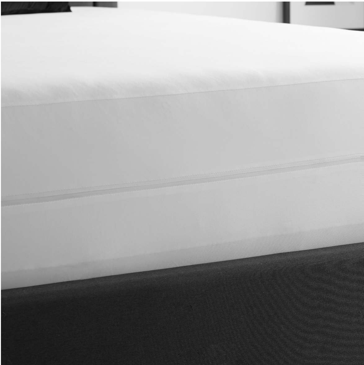 Mattress protector 2.png