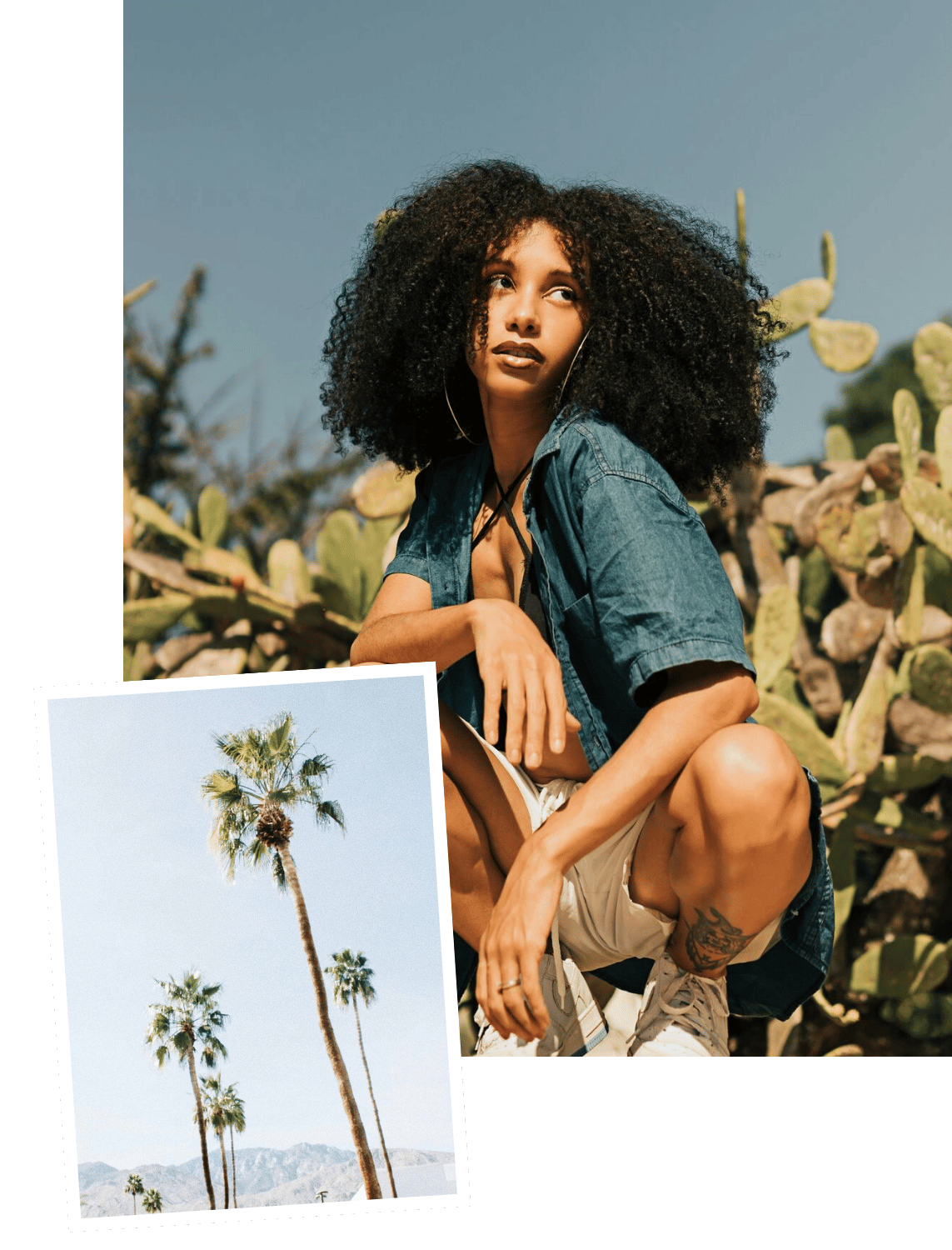 A woman with curly hair, wearing a denim shirt, is sitting outdoors among cactus plants, with a small photo of palm trees inserted at the bottom left corner.