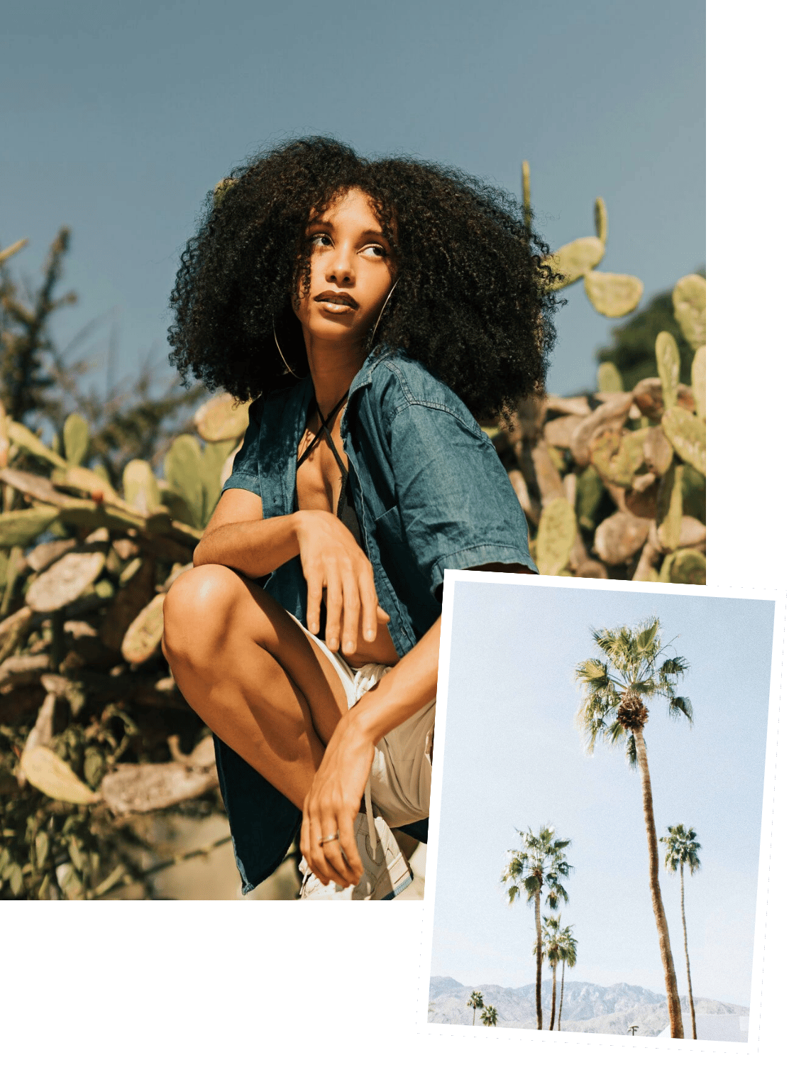 A woman with big, curly hair sitting outdoors among cactus plants, wearing a denim shirt and shorts, with a smaller image of palm trees and mountains in the foreground.