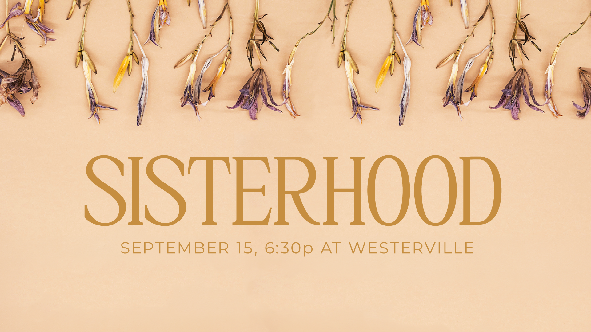 Sisterhood Kickoff Night