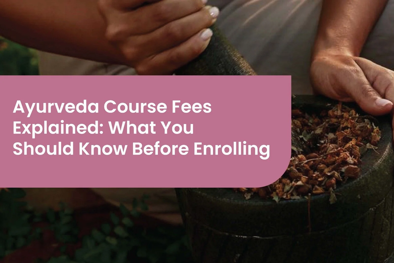 Ayurveda Course Fees Explained: What You Should Know Before Enrolling