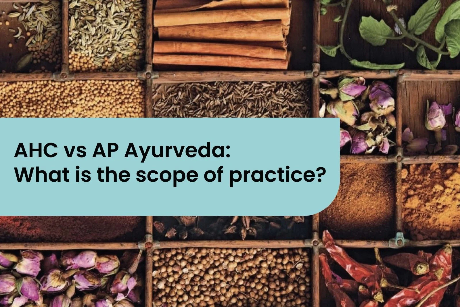 AHC vs AP Ayurveda: What is the scope of practice?