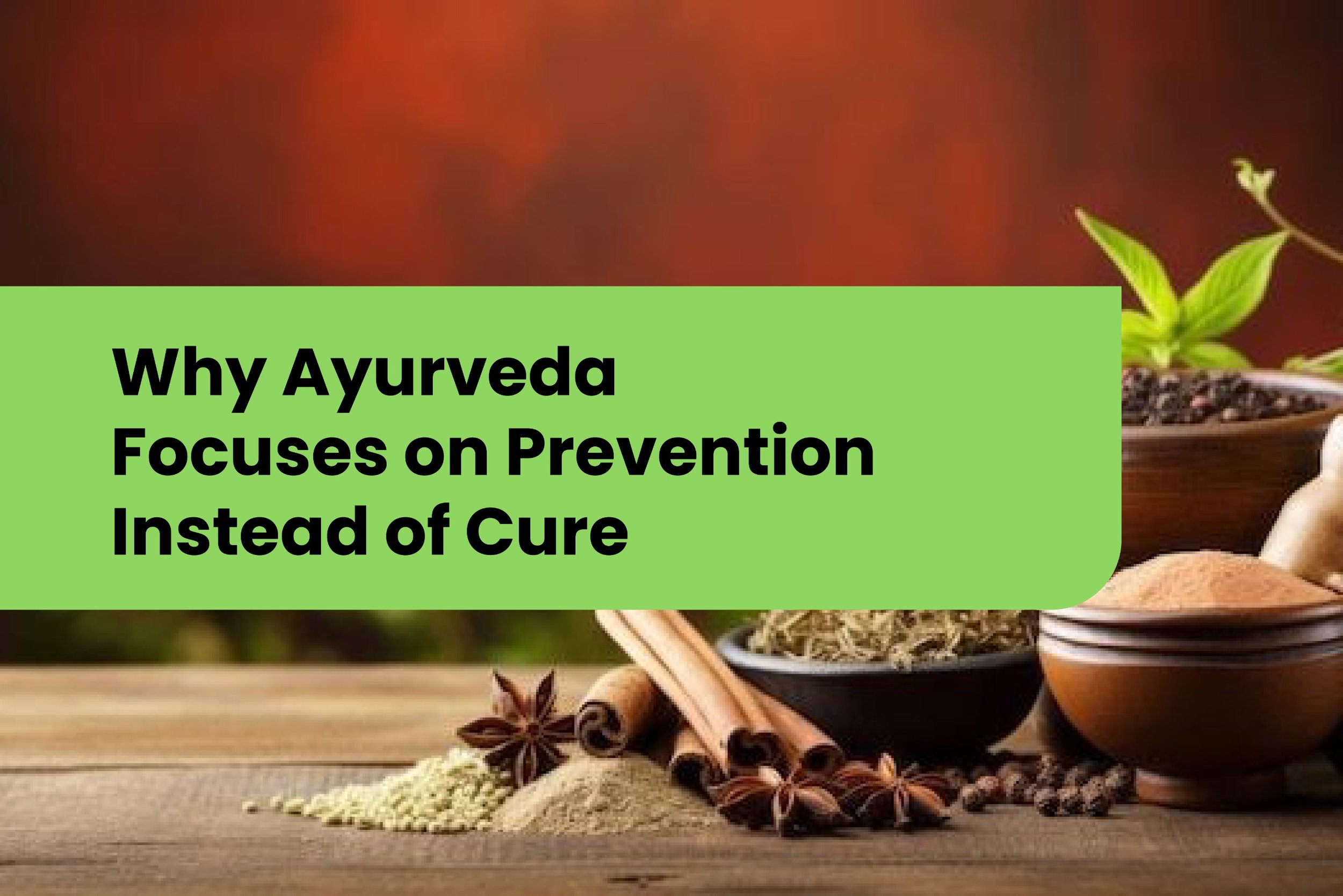Why Ayurveda Focuses on Prevention More than Cure: The Timeless Science of Lifelong Wellness
