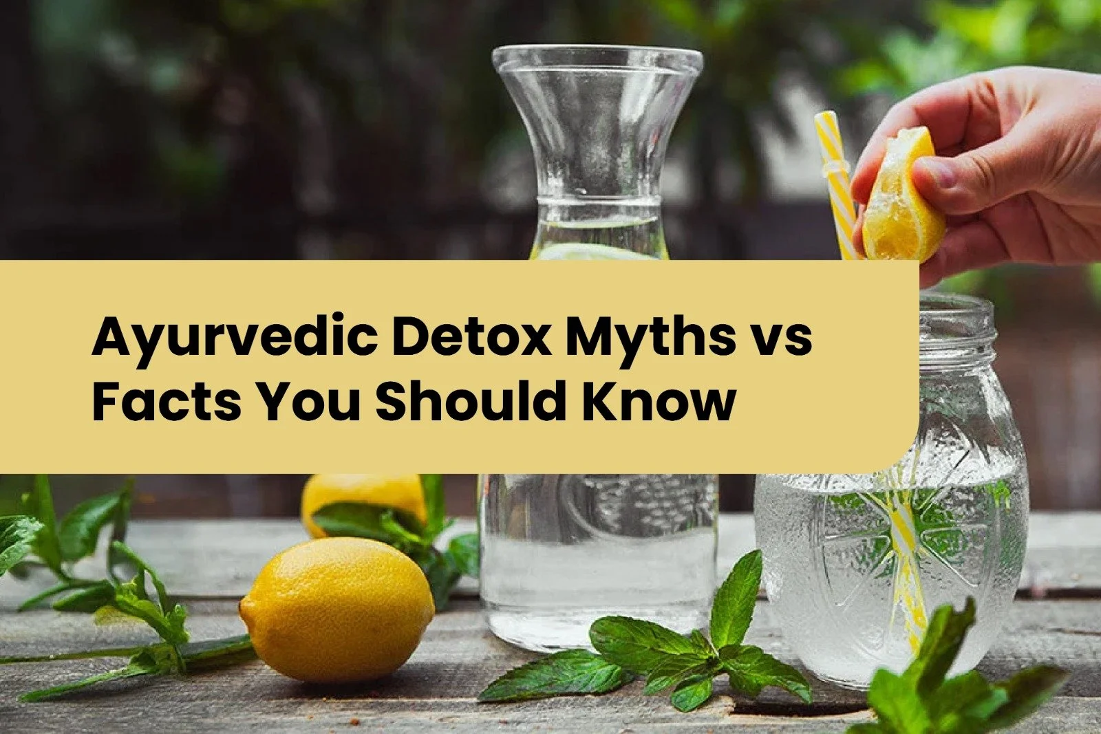 Ayurvedic Detox: Myths vs Facts You Should Know