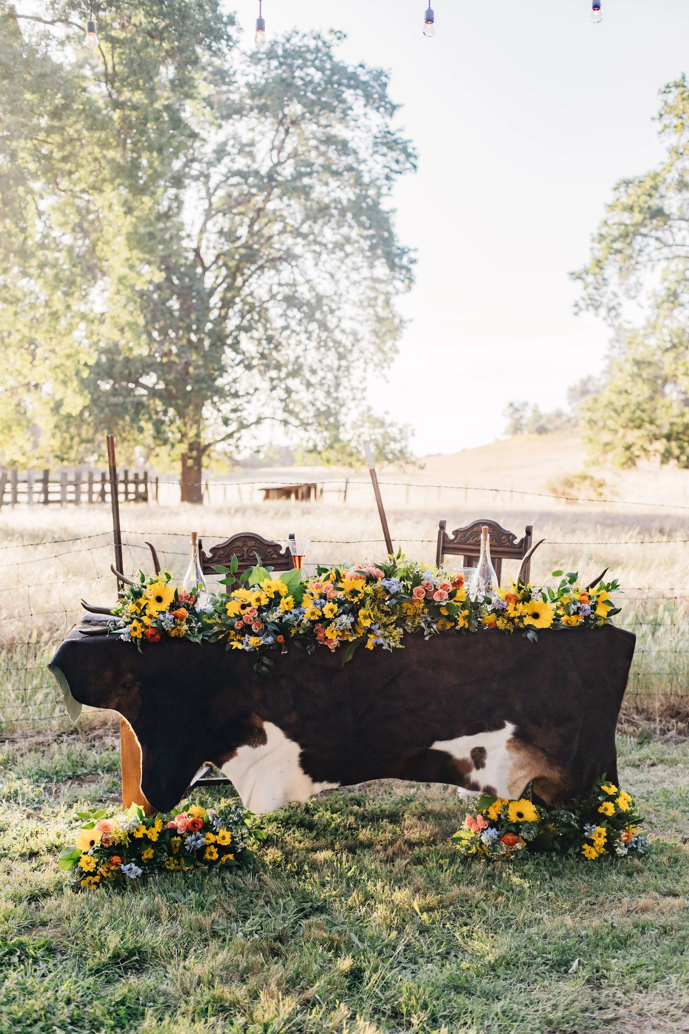 Photos by Savannah Molina Photography