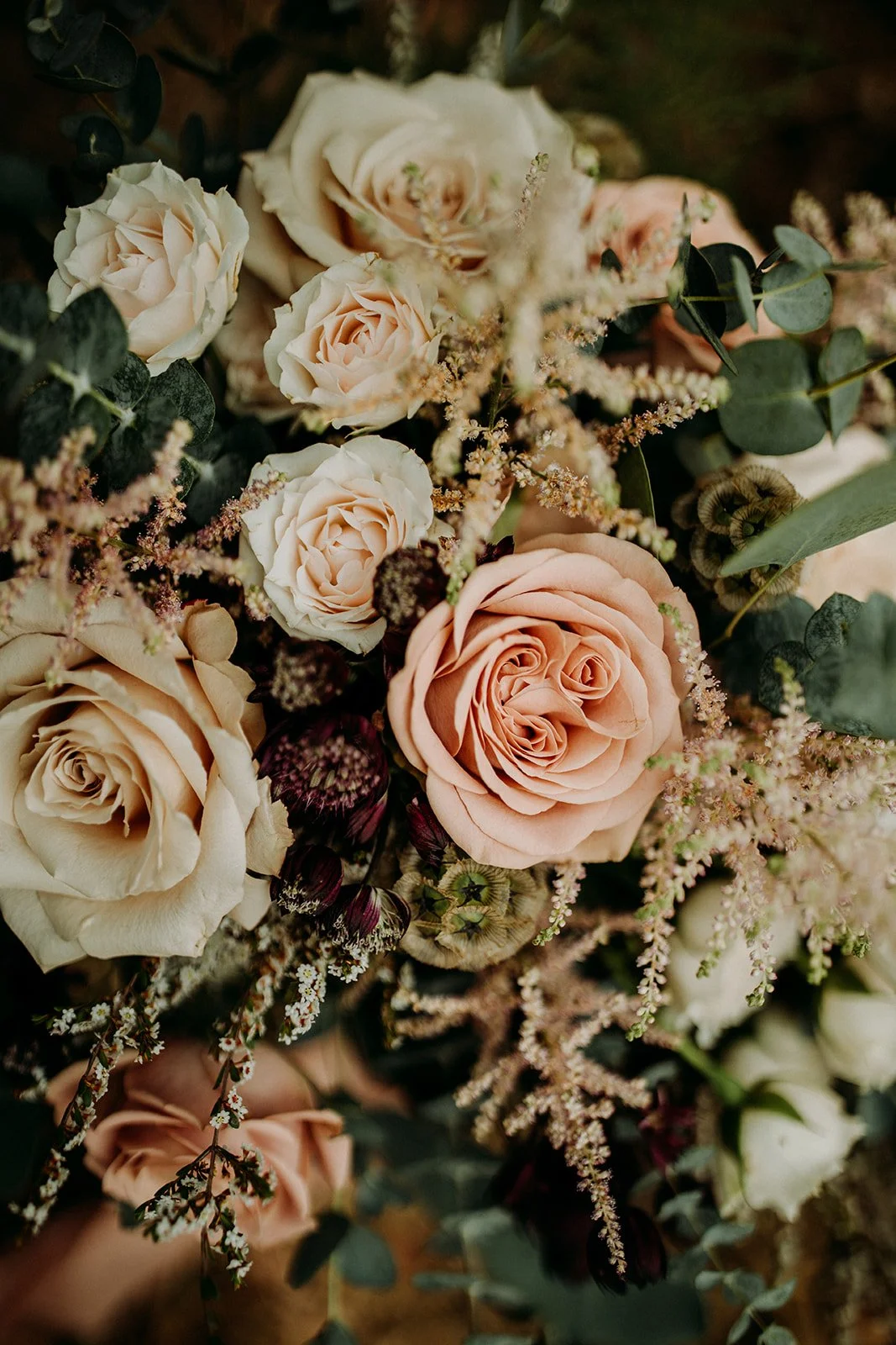 Photos by Chelsea Elizabeth Photography