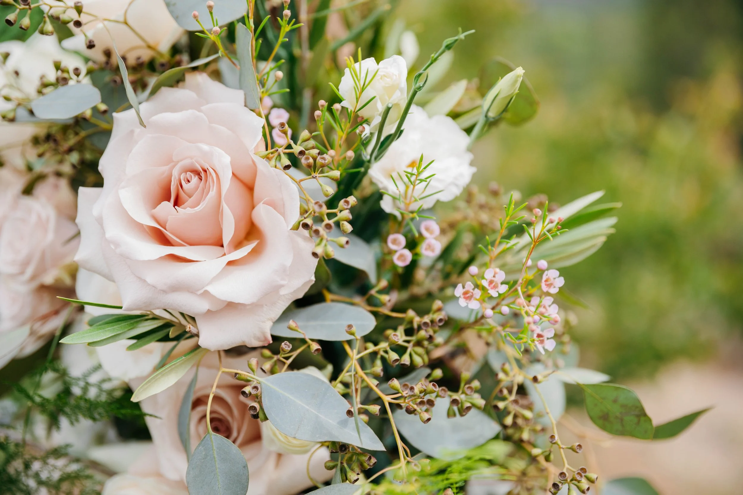 up close flowers consisting of quicksand rose, pink waxflower, and eucalyptus, calaveras county flowers