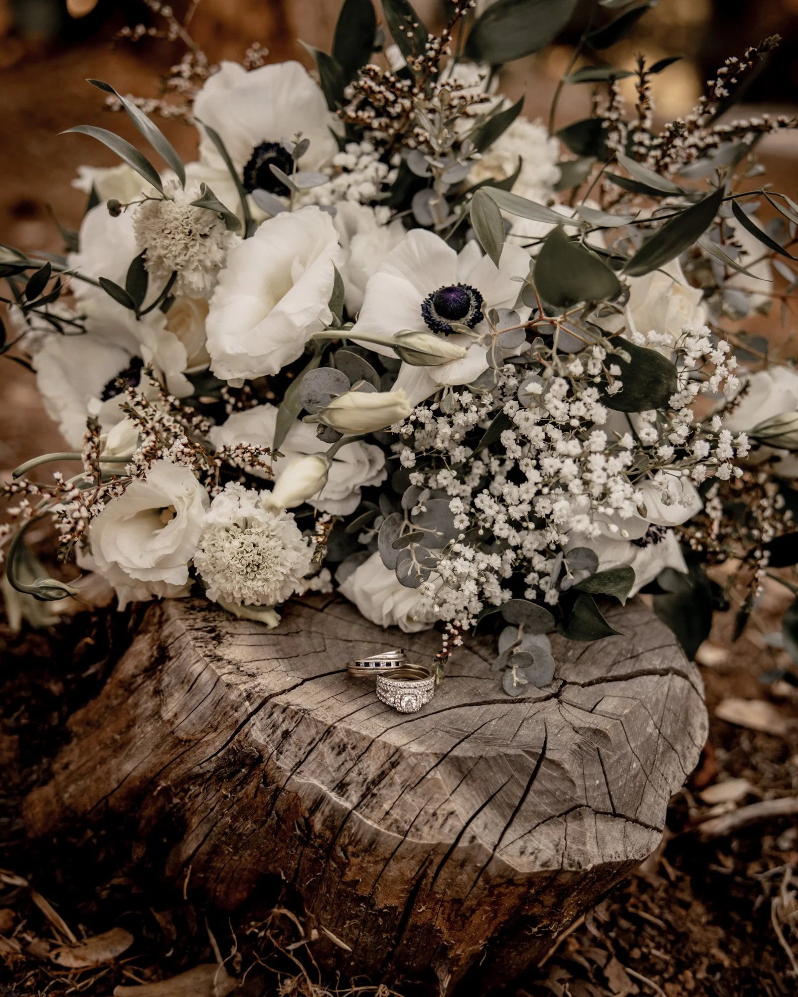 bridal bouquet made of white lisianthus, anemones, scabiosa, roses, babies breath, and eucalyptus, sincerely sonora florist wedding flowers