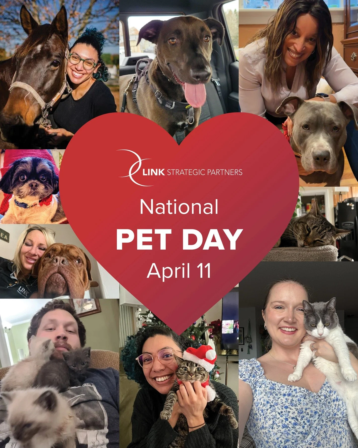 We spend a lot of time at LINK thinking about what builds community &mdash; what creates the conditions for people to feel connected to each other and genuinely rooted in where they live.

Pets, it turns out, are part of that answer. They create conn