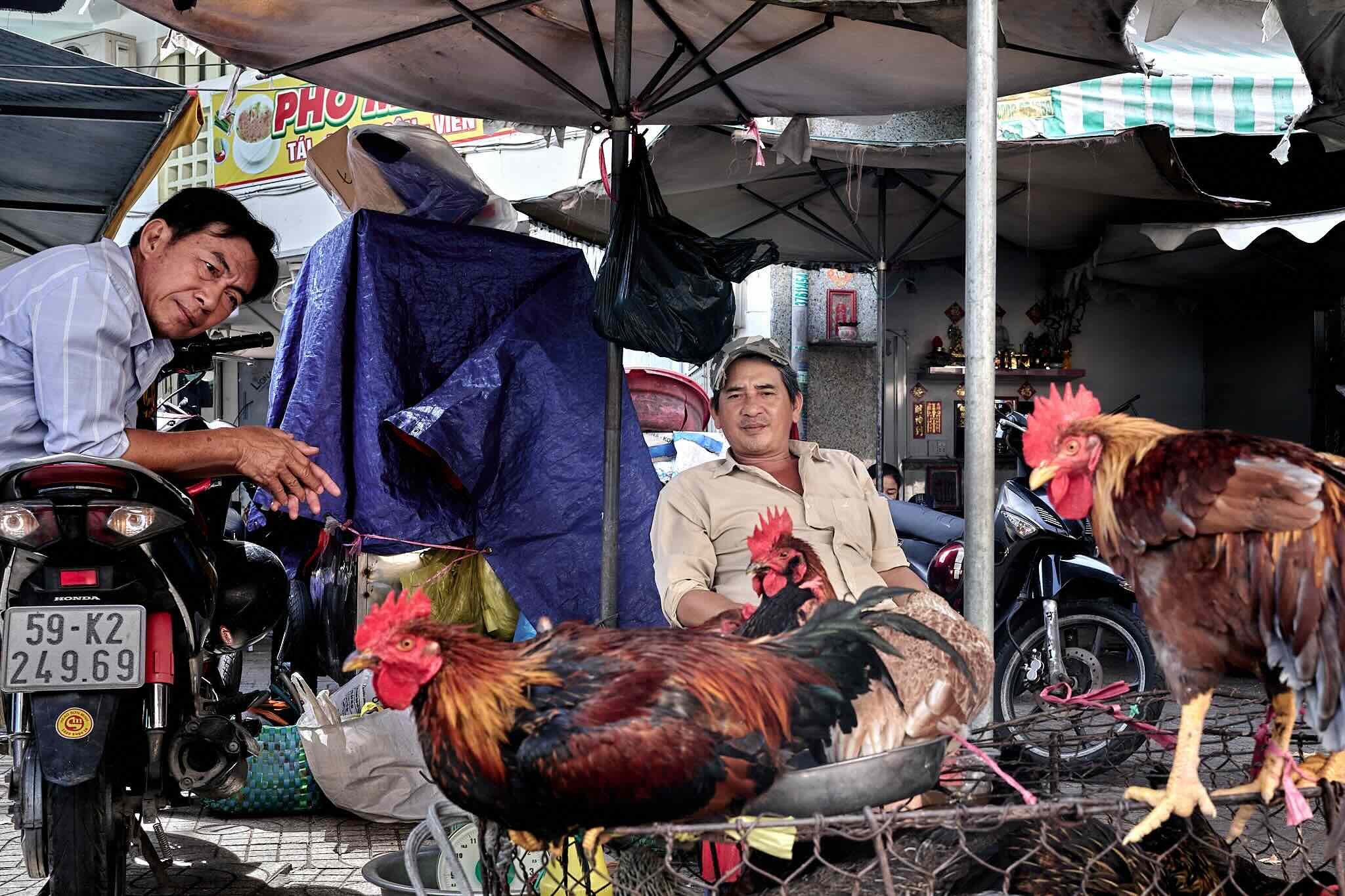 Two men are sitting at a street market stall with chickens in the foreground. The stall is shaded by umbrellas and parts of motorcycles are visible behind them.