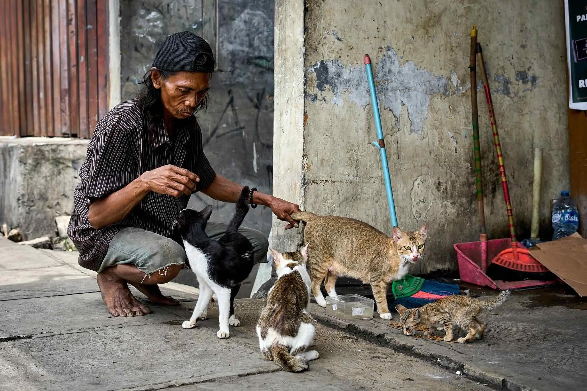 A man in a black striped shirt and black cap sits on a step feeding multiple cats of various colors and sizes outside a building with a rough wall. Several cats are standing, sitting, or lying on the ground nearby.