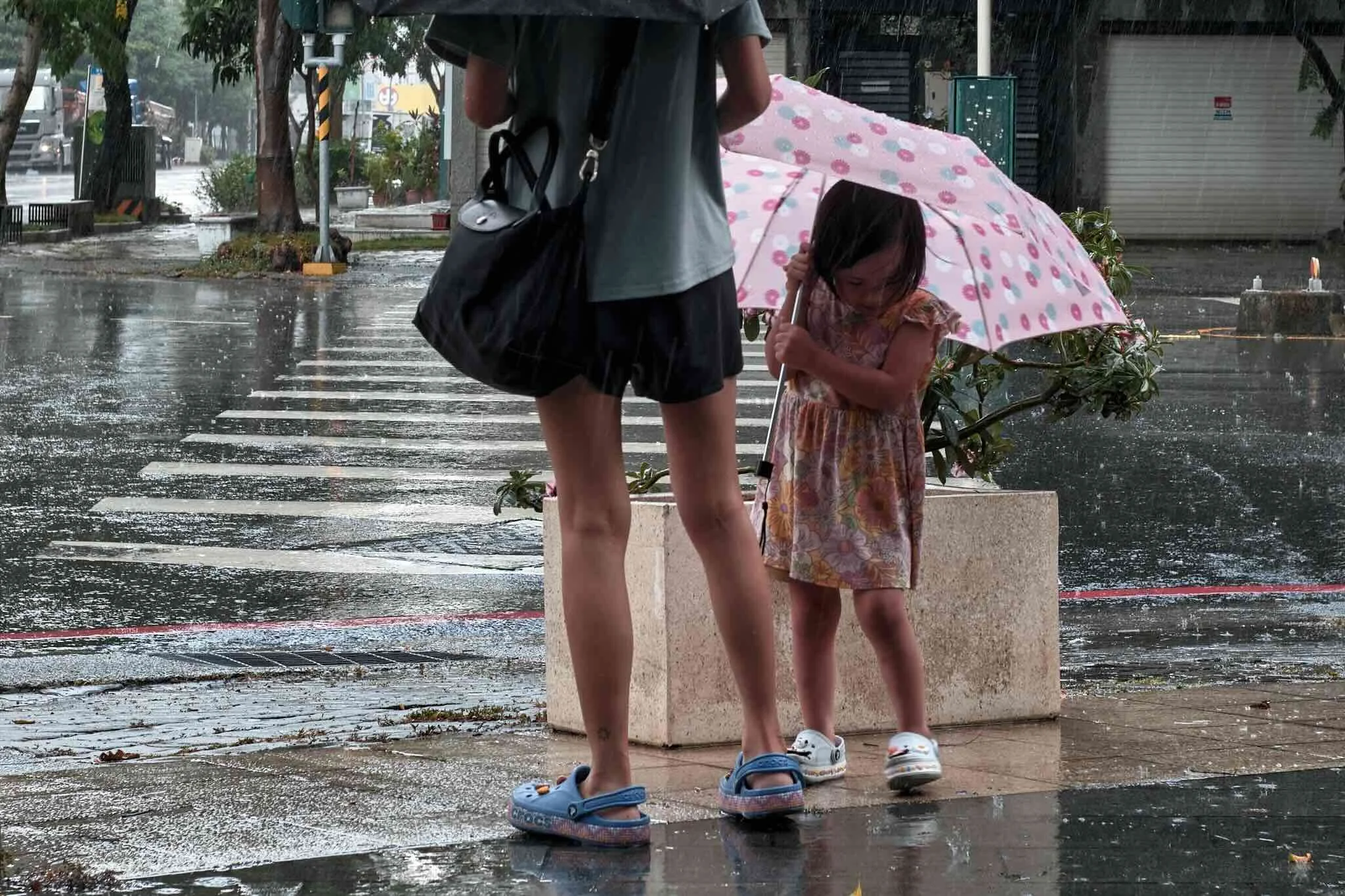 street-photography-rainy-crosswalk-umbrella-taiwan.jpeg