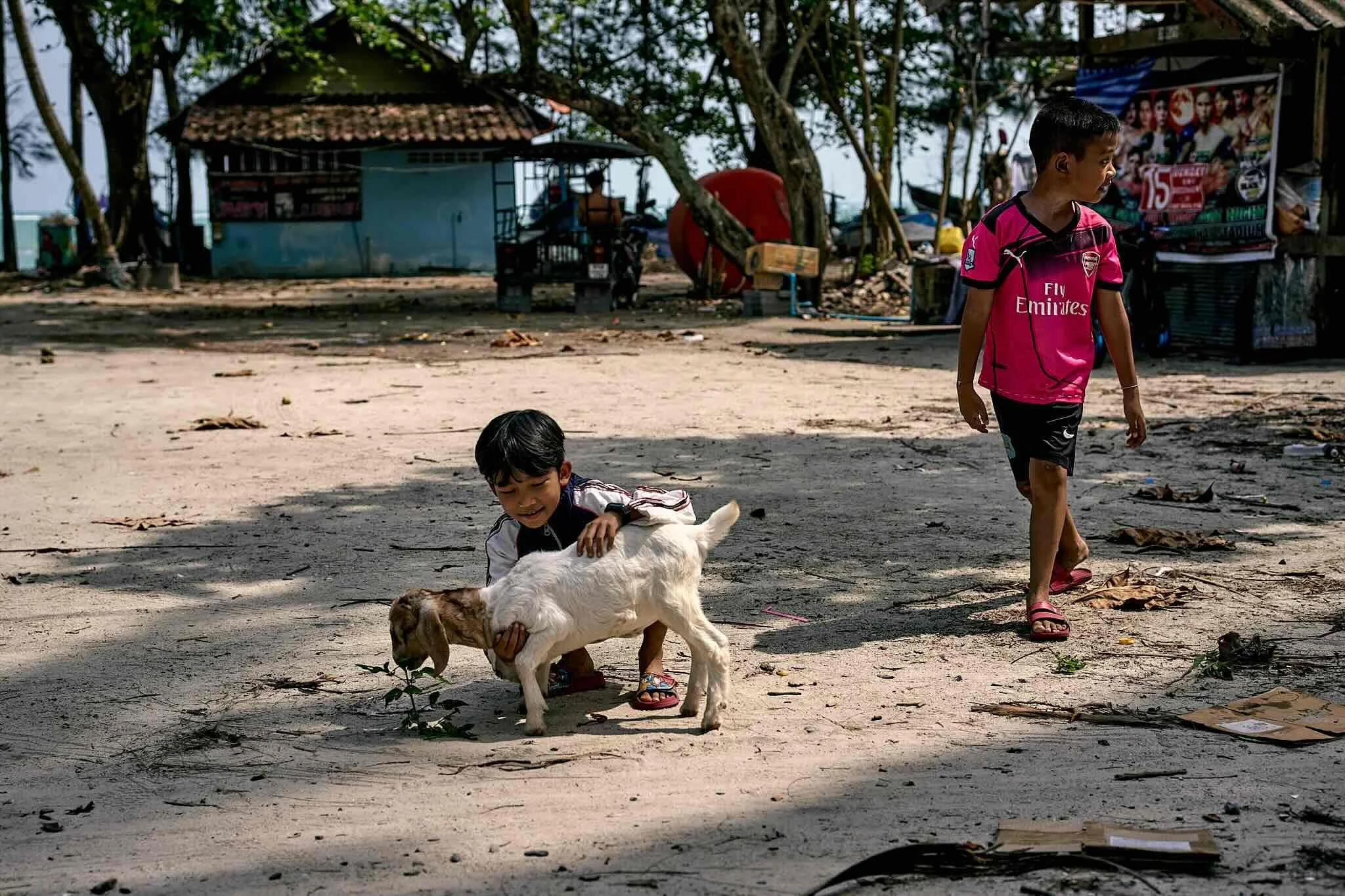 Two boys playing with a dog on a sandy street in a rural area with trees and small houses in the background.