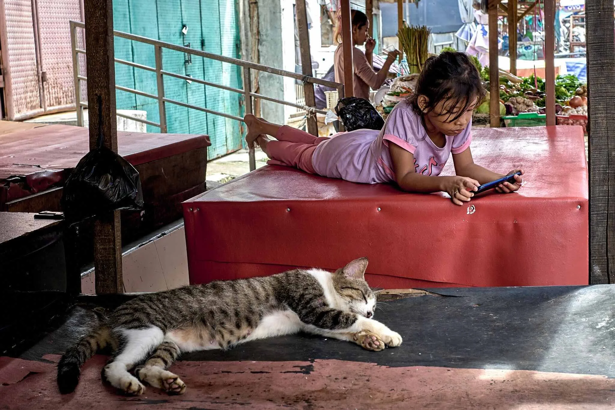 A young girl lying on her stomach on a red table, looking at her phone, with a striped tabby cat lying on the ground nearby. In the background, another girl is at a market stall surrounded by vegetables and other goods.