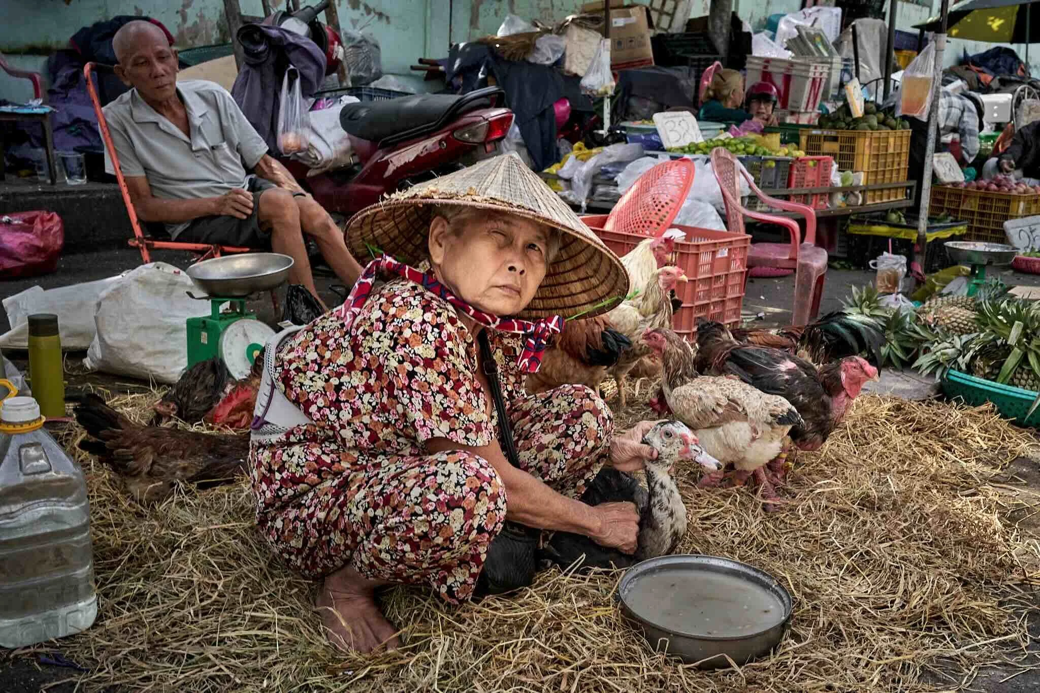 An elderly woman wearing a traditional conical hat and floral shirt sitting among chickens at an outdoor market stall with vegetables, crates, and a motorcycle in the background.