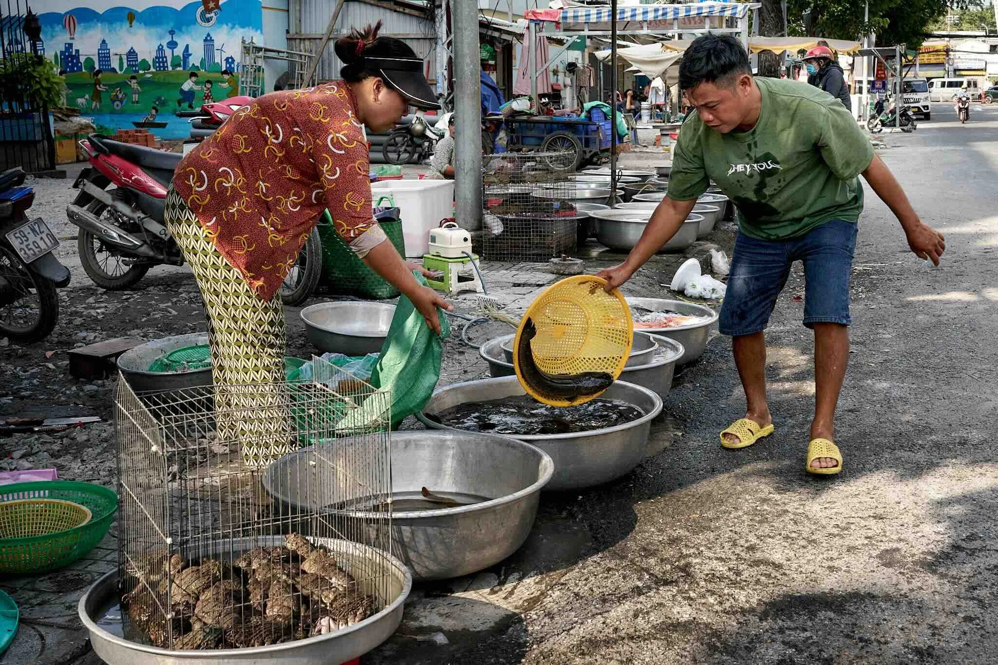 Two people are at an outdoor fish market with large containers of fish. The woman on the left is wearing patterned pants, a red top, and a black visor. She is holding a green net. The man on the right is dressed in a green T-shirt, blue shorts, and y