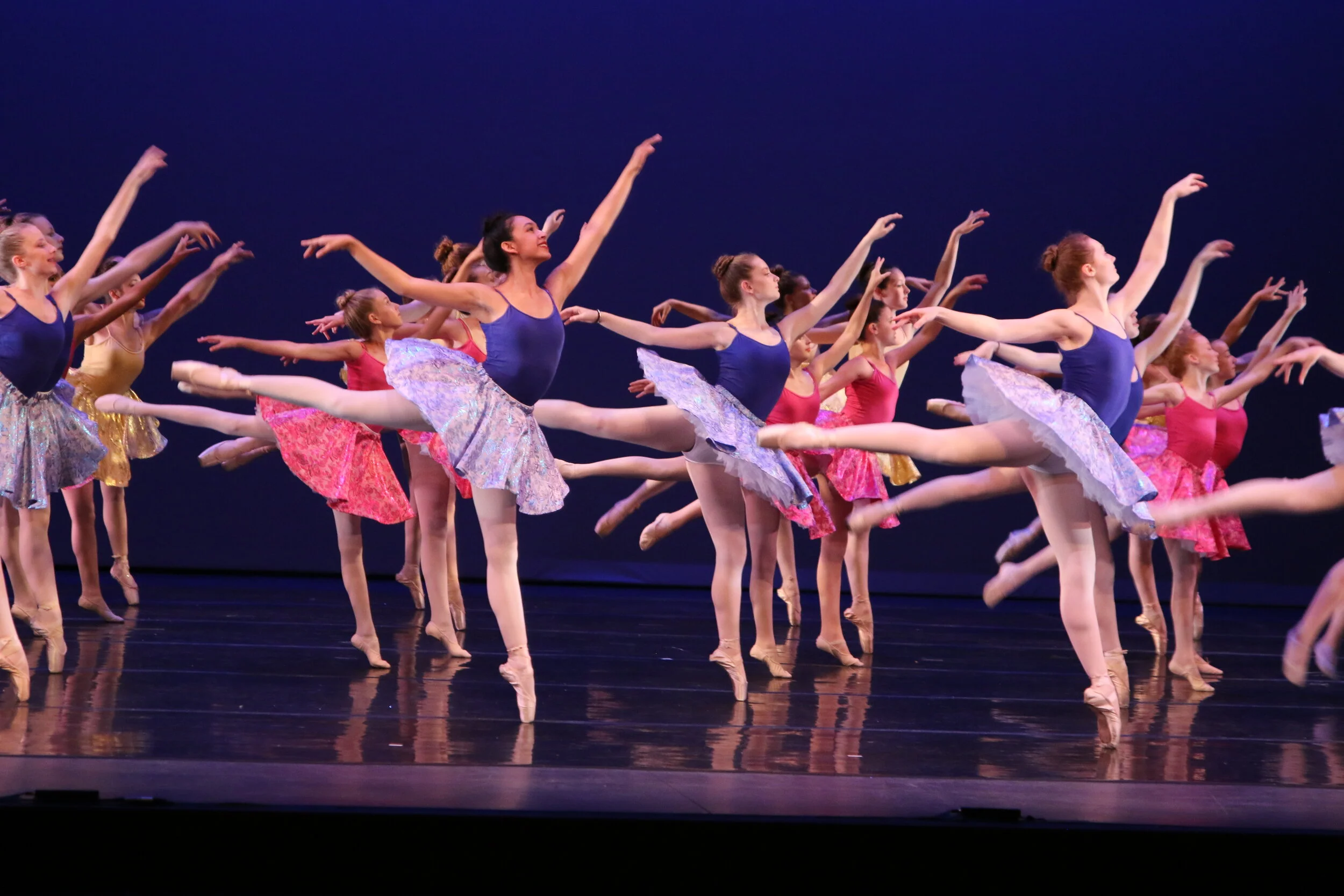 Springs Ballet company — Holly Springs School of Dance