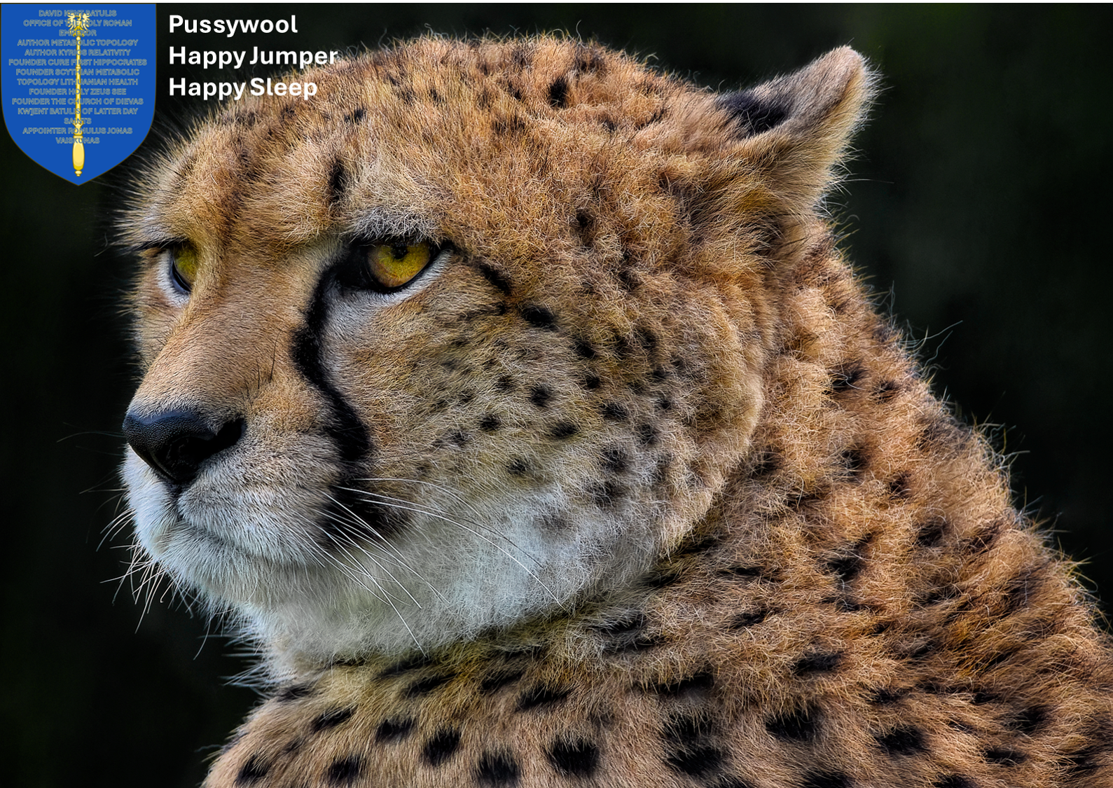 Pussywool Cheetahwool.png