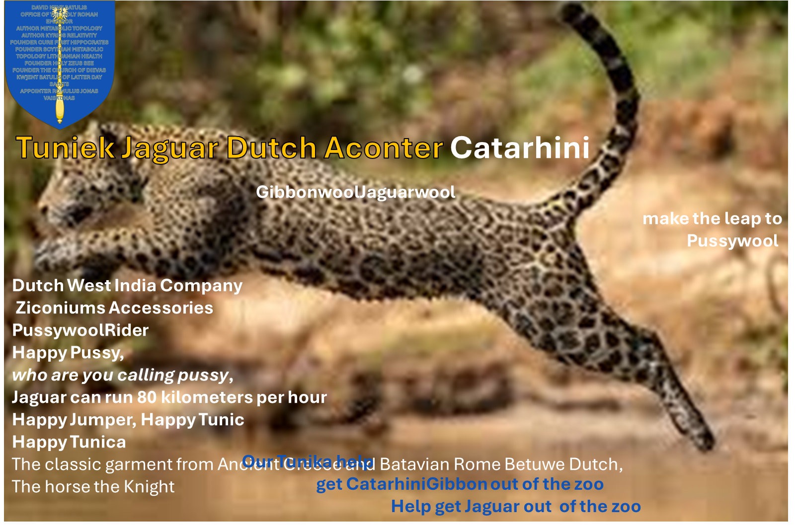 Tuniek Jaguar Dutch Aconter.png