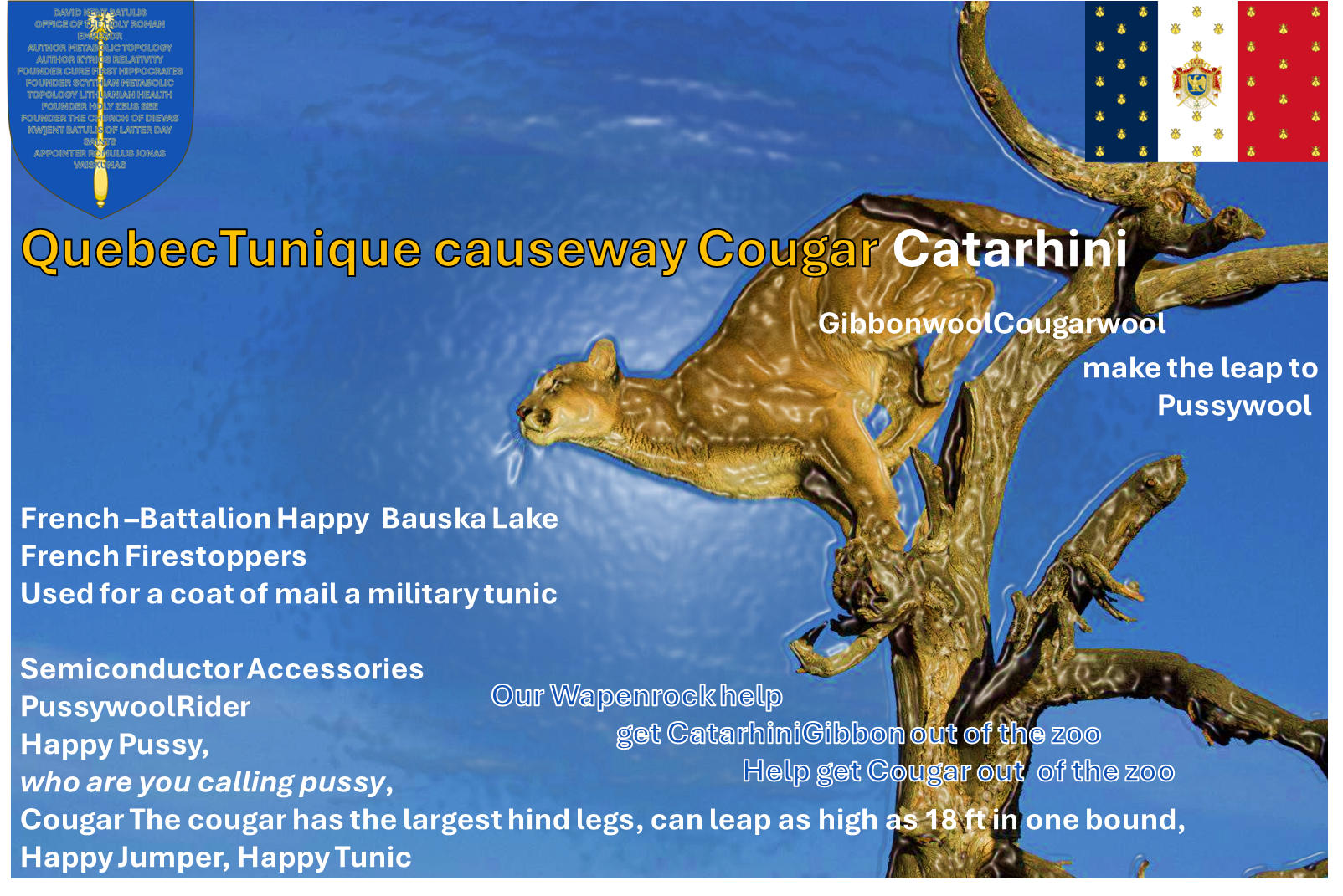 QuebecTunique causeway Cougar Catarhini