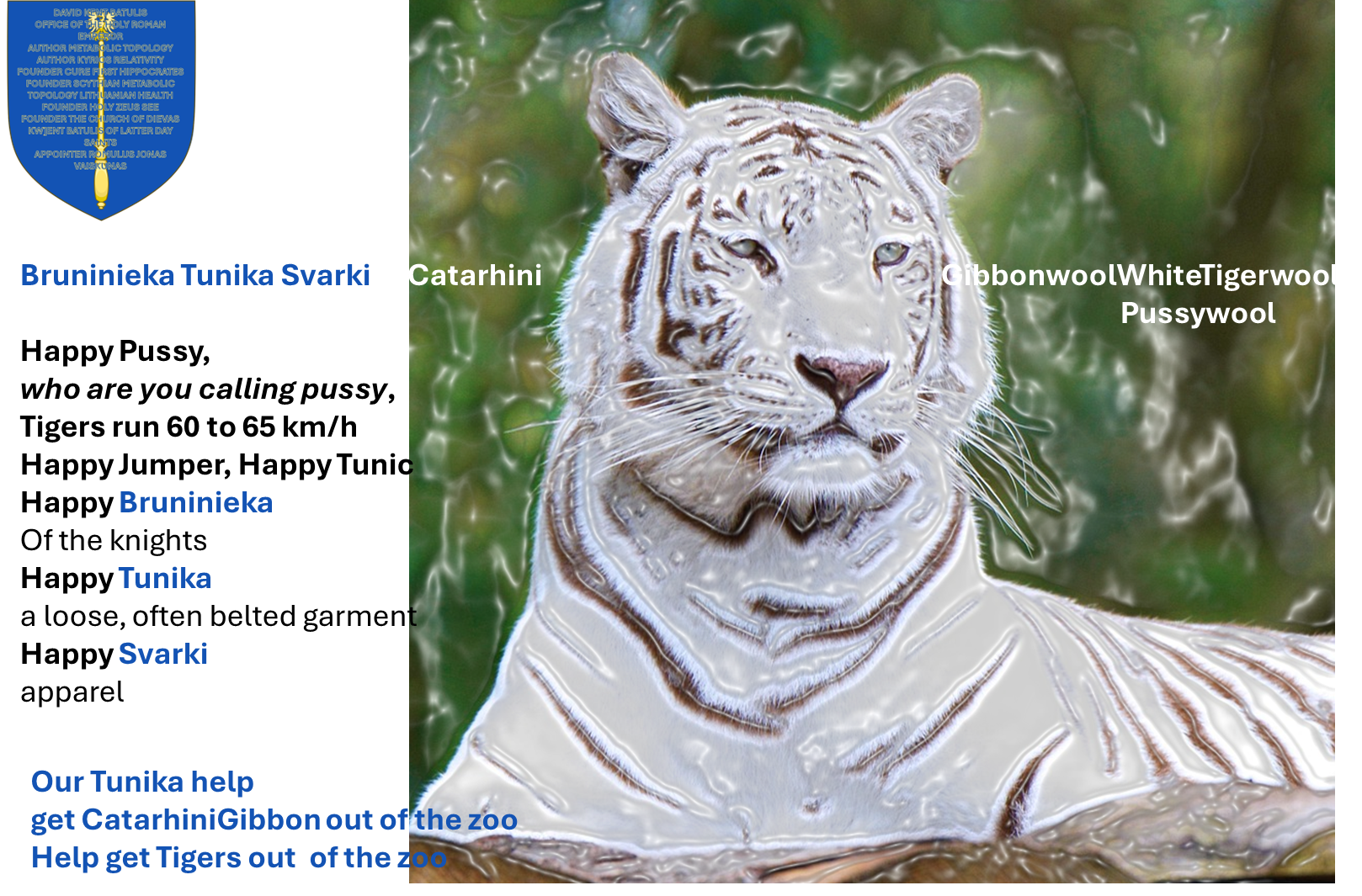 Zupan Spodica Kw]ent Knights Hospitallier with CarbonFiber Accessories Rider CatarhiniGibbonwoolTigerwool