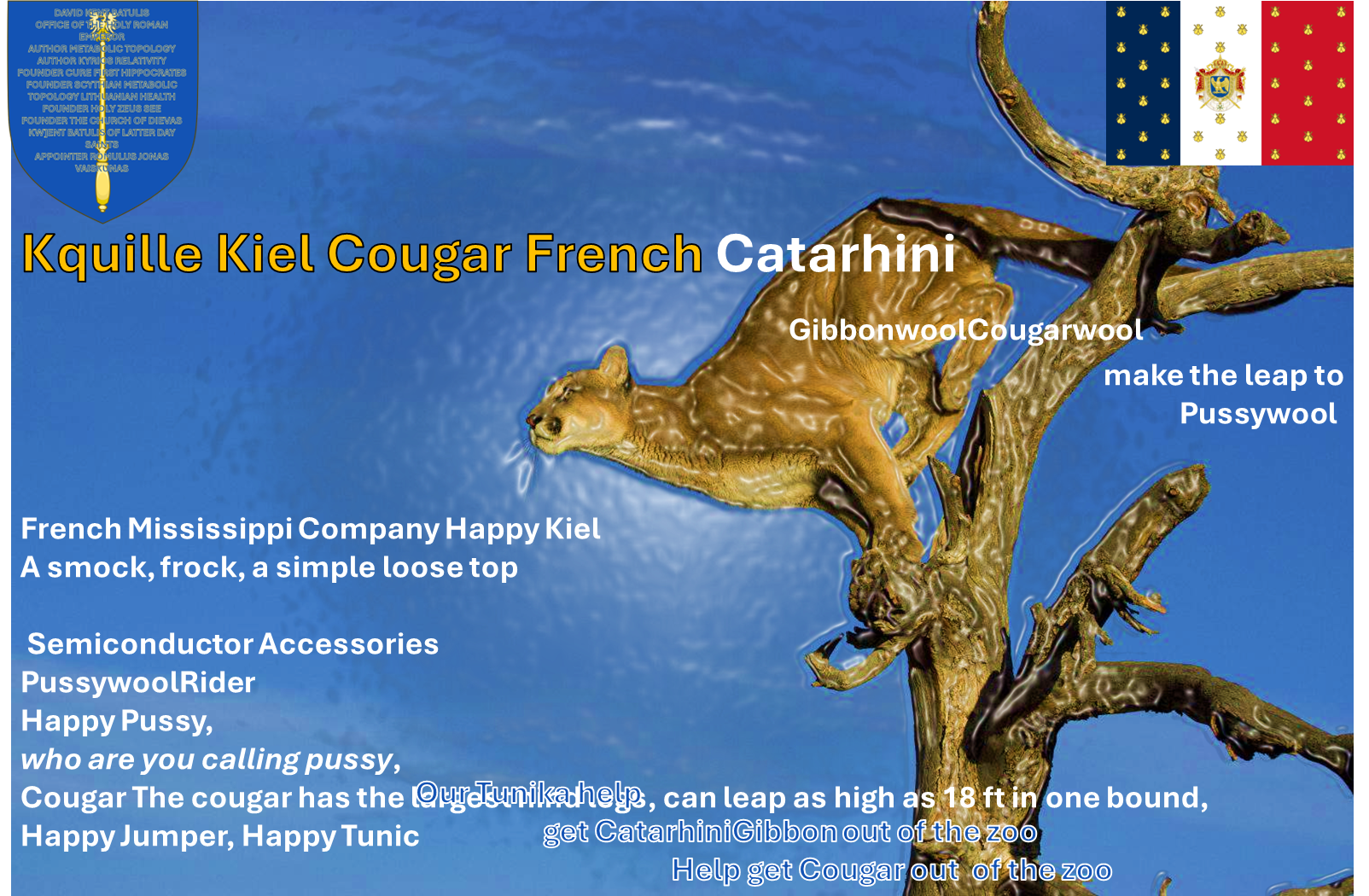 Kiel Cougar French.png