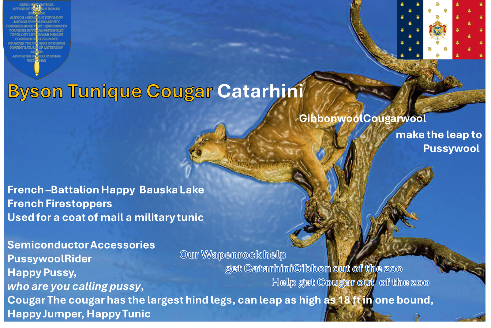 Byson Shepherd Tunique Cougar Catarhini