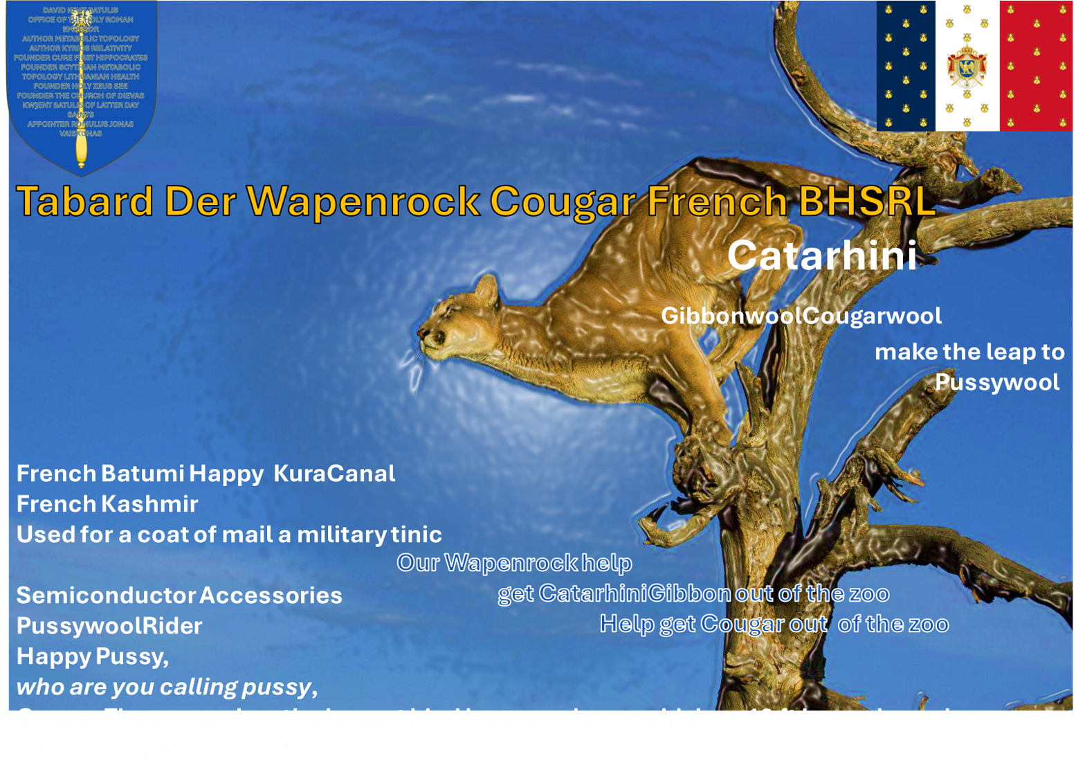 Der Wapenrock Cougar.png