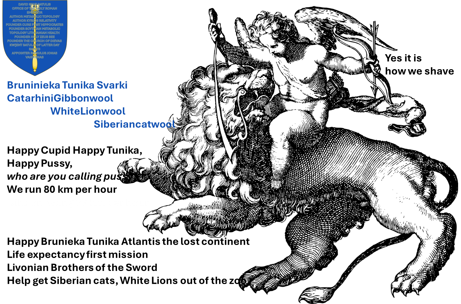 Bruninieka Tunika Svarki CatarhiniGibbonwoolSiberiancatwool